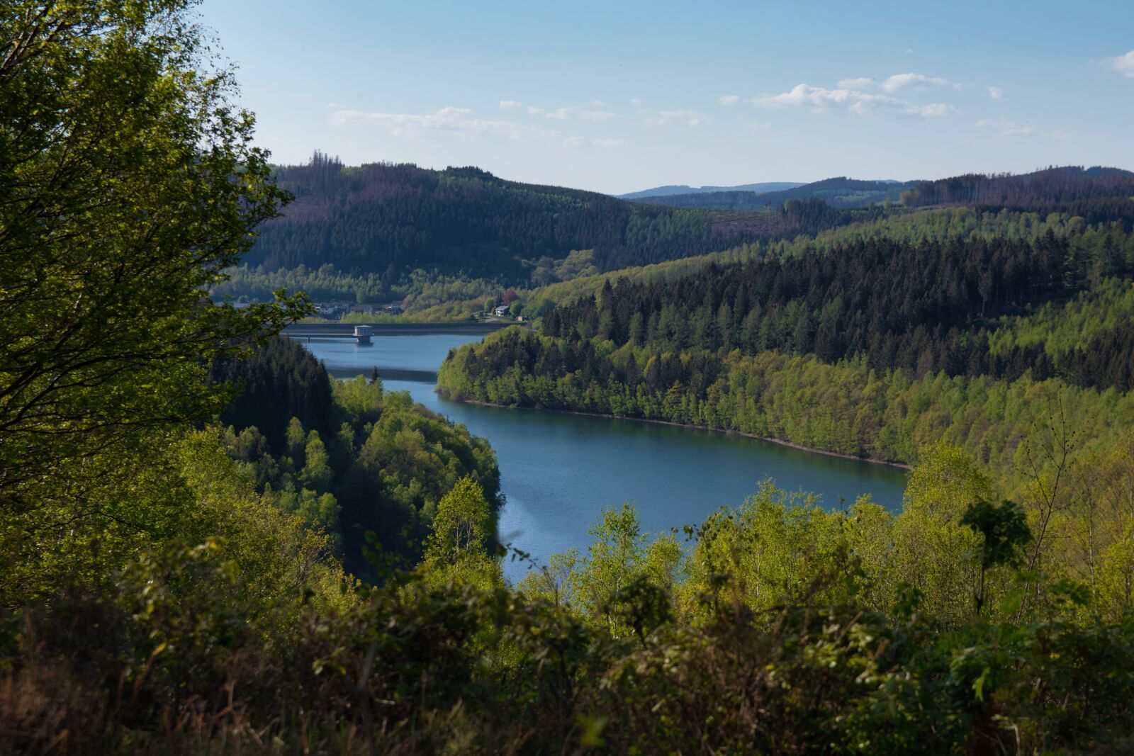 Canon EOS 800D (EOS Rebel T7i / EOS Kiss X9i) sample photo. Forest, germany, siegerland photography