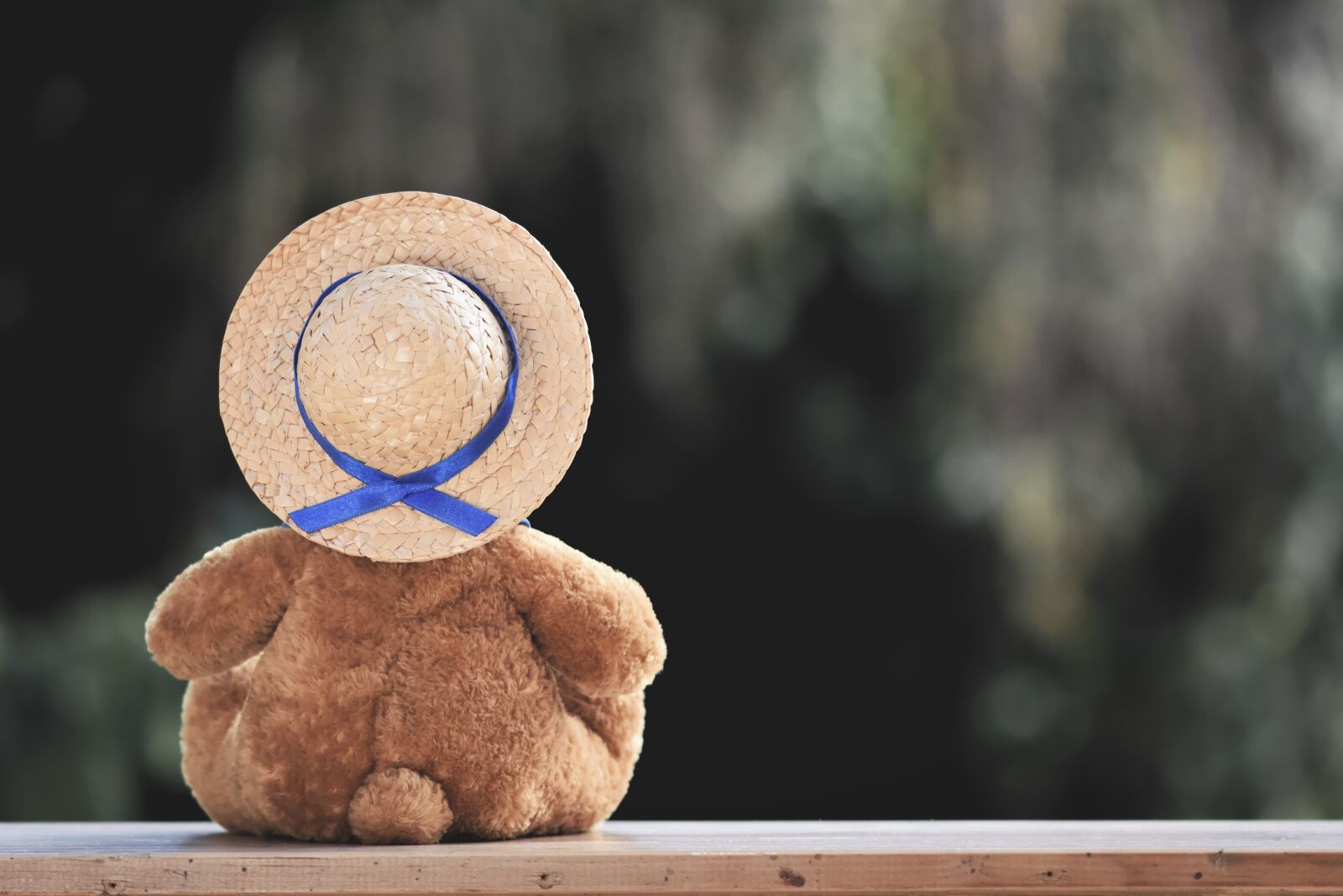 Nikon D7200 sample photo. Bear, teddy, lonely photography