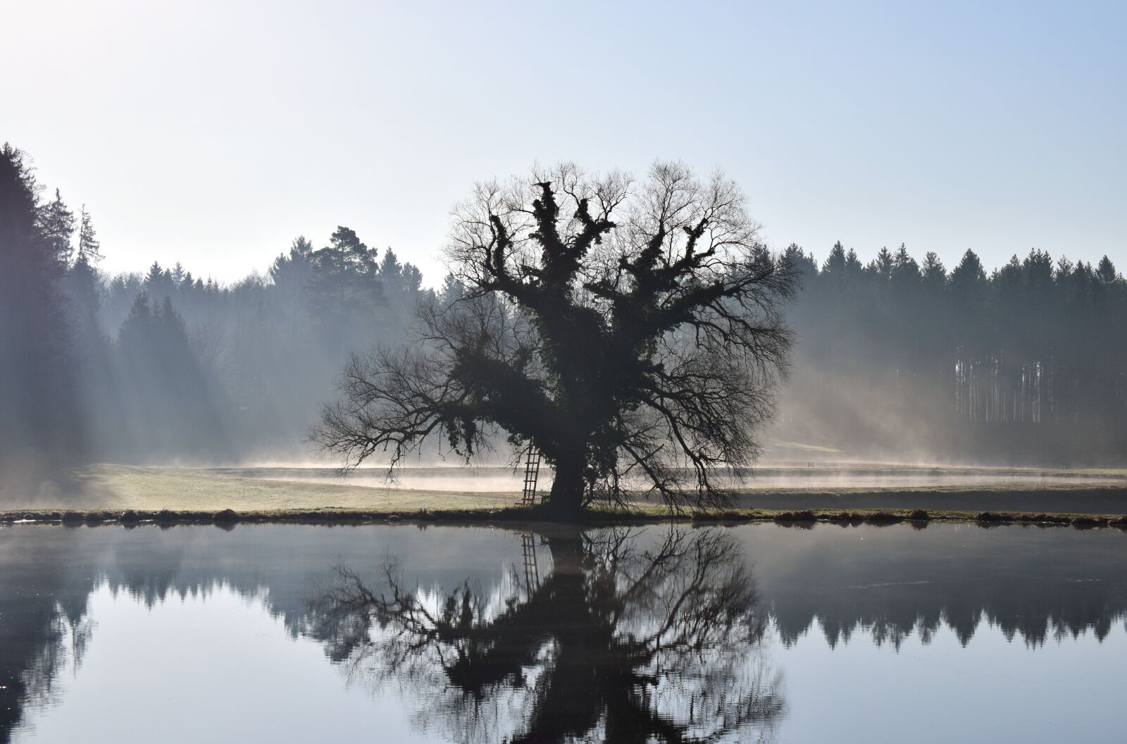 Nikon D3300 sample photo. Lake, waters, tree photography