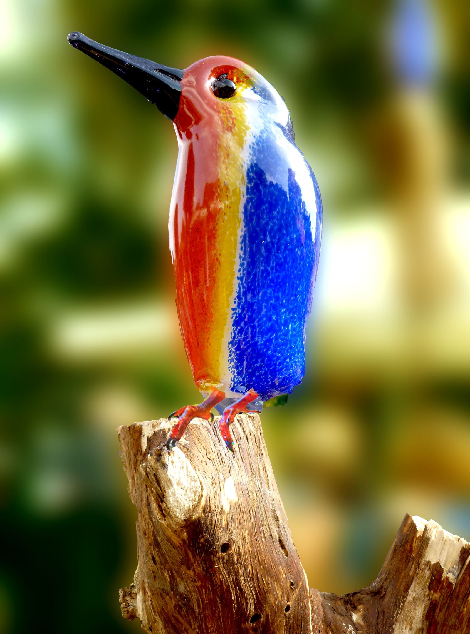 Panasonic DMC-FS37 sample photo. Kingfisher, bird, animal photography