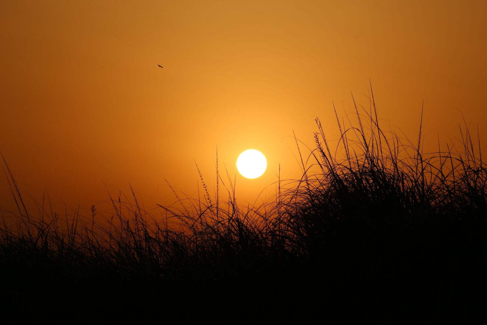 Canon EOS 700D (EOS Rebel T5i / EOS Kiss X7i) sample photo. Sunset, dawn, sun photography