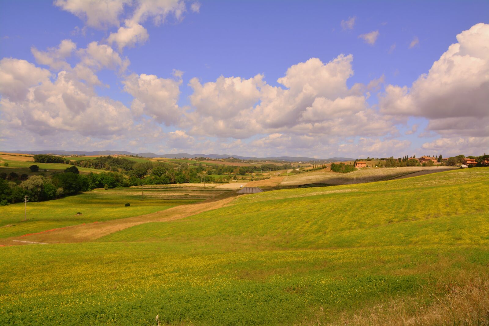 Nikon D7100 sample photo. Agriculture, field, green photography
