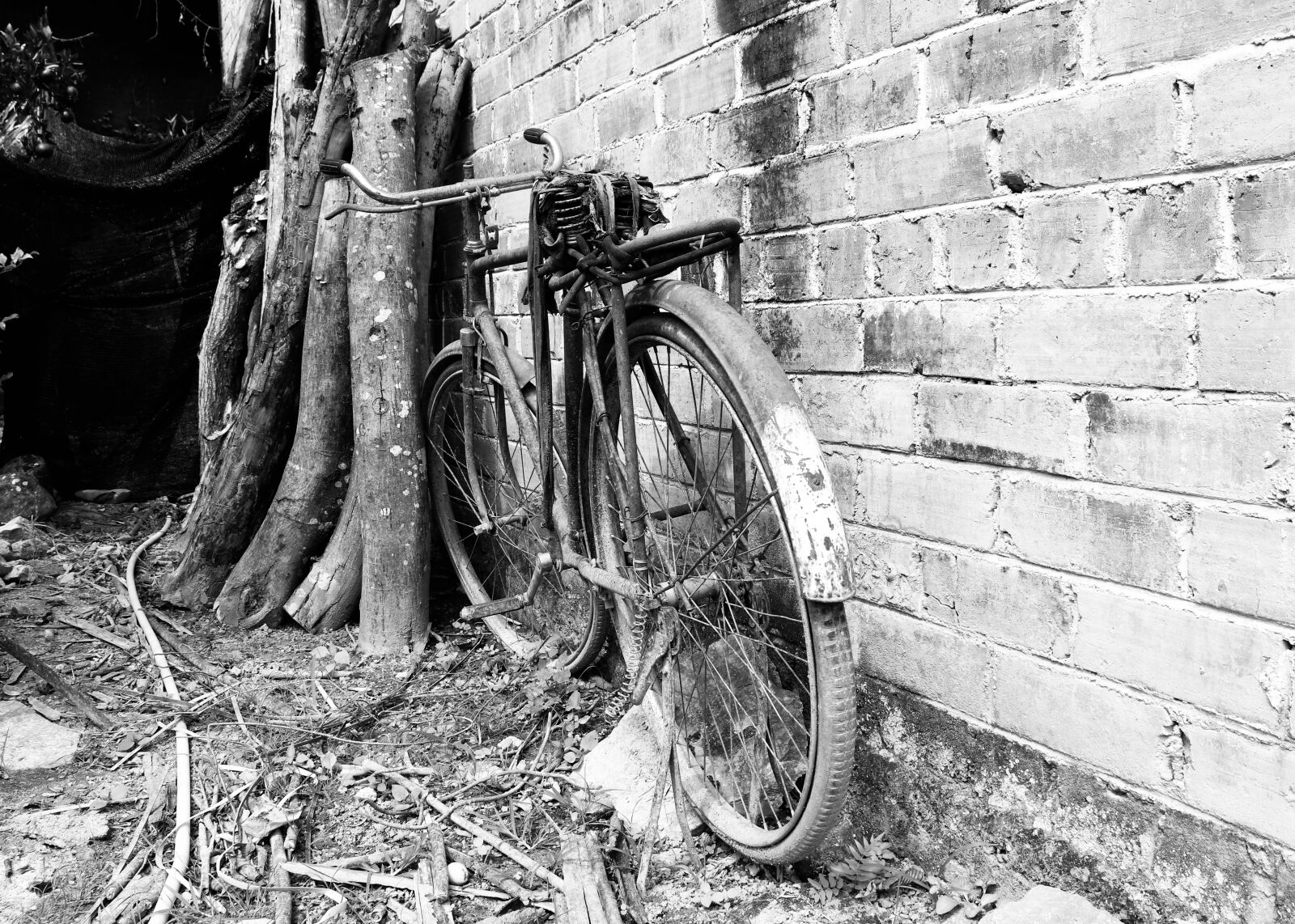 Canon EOS 200D (EOS Rebel SL2 / EOS Kiss X9) sample photo. Vintage bicycle, retro, black photography