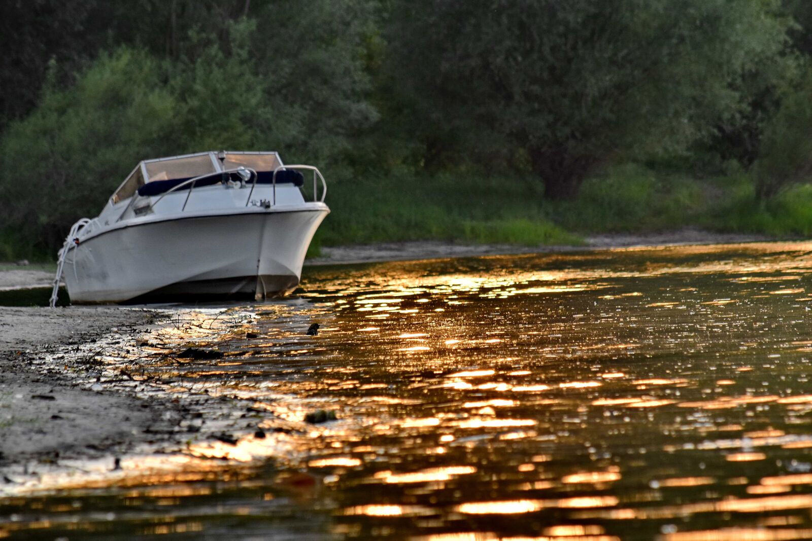 Nikon D5500 sample photo. Reflection, riverbank, sunset, yacht photography