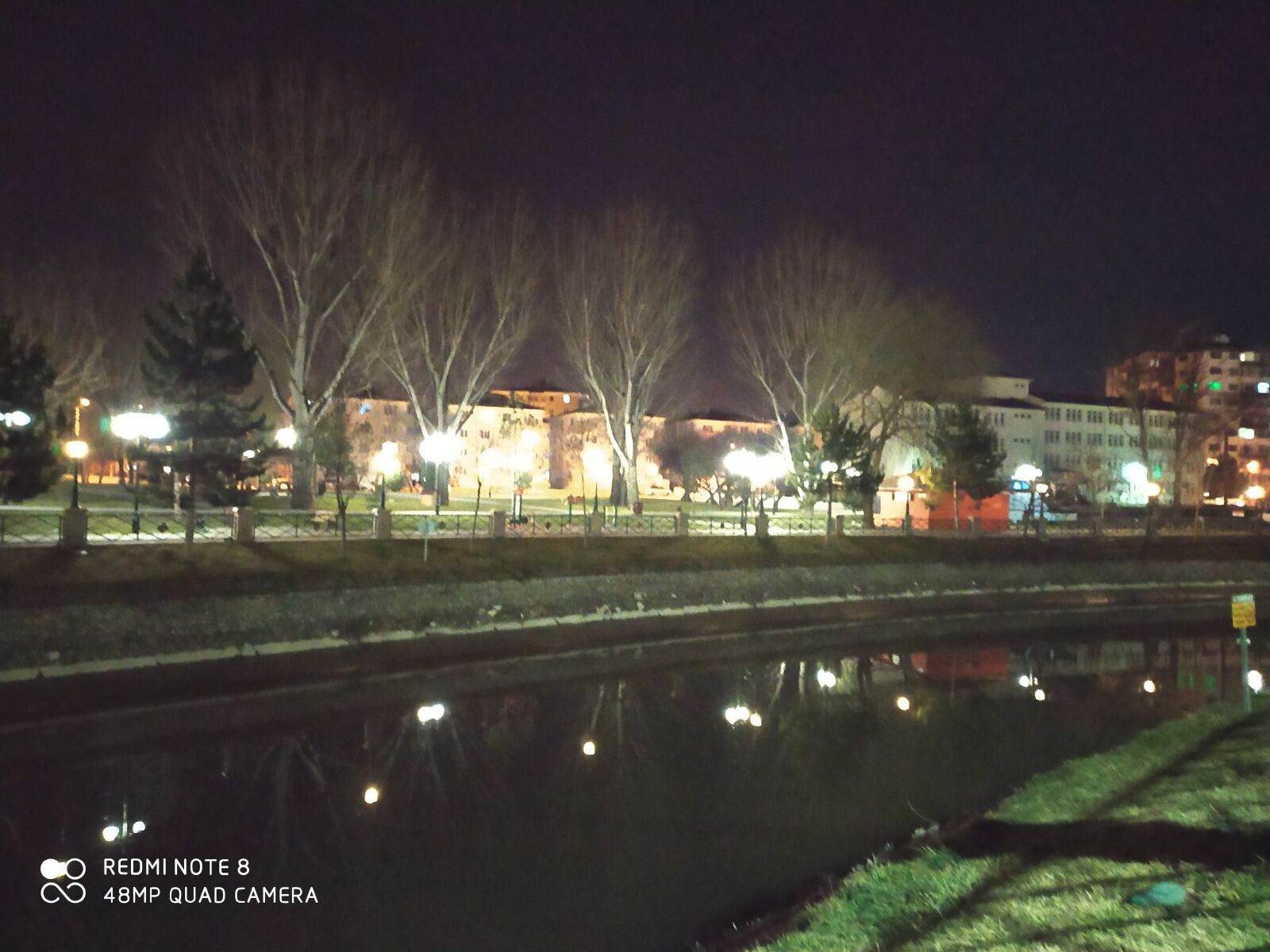 Xiaomi Redmi Note 8 sample photo. Night, badger, greens photography