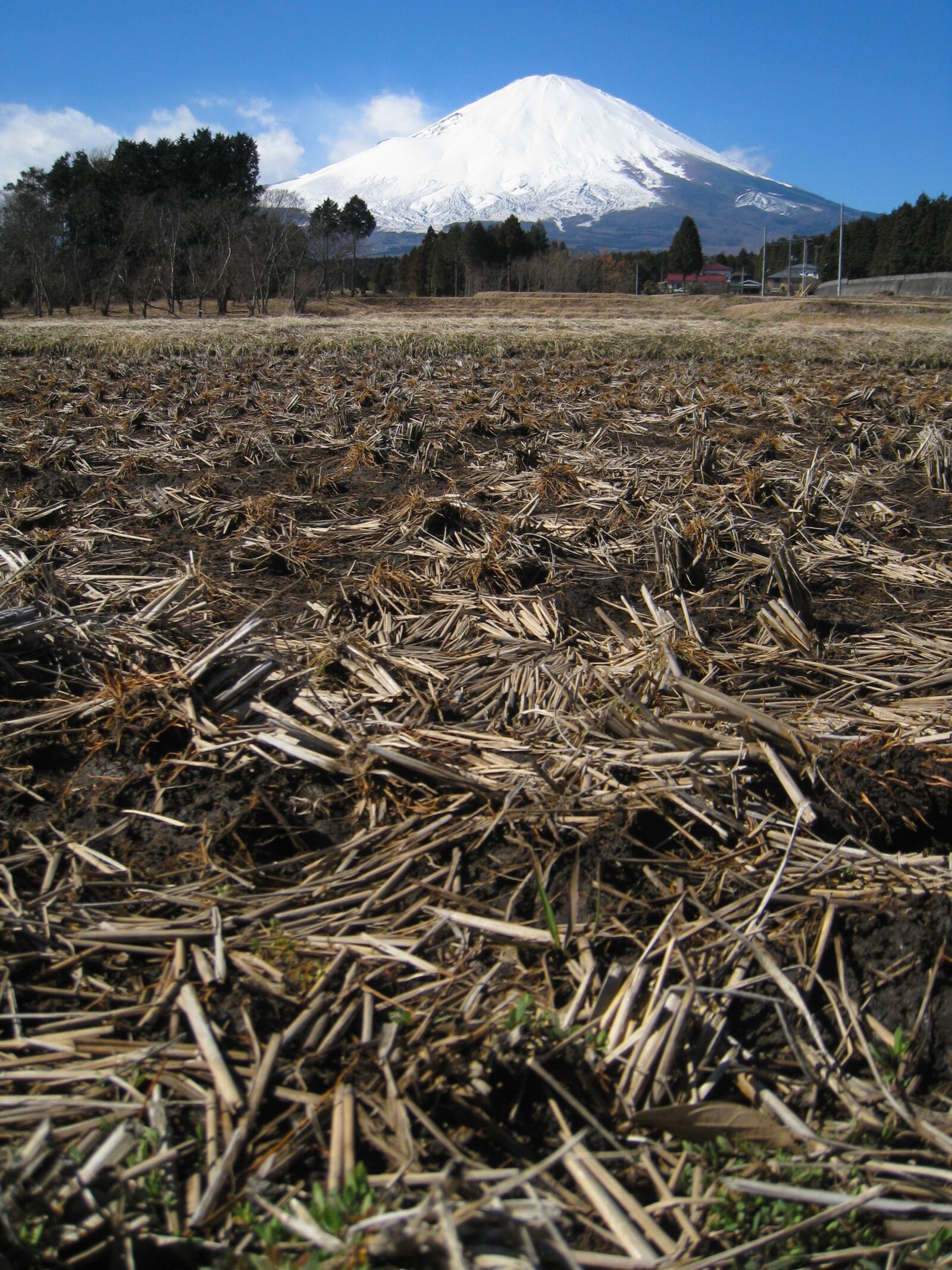 Canon IXY DIGITAL 910 IS sample photo. Mt fuji, field, winter photography