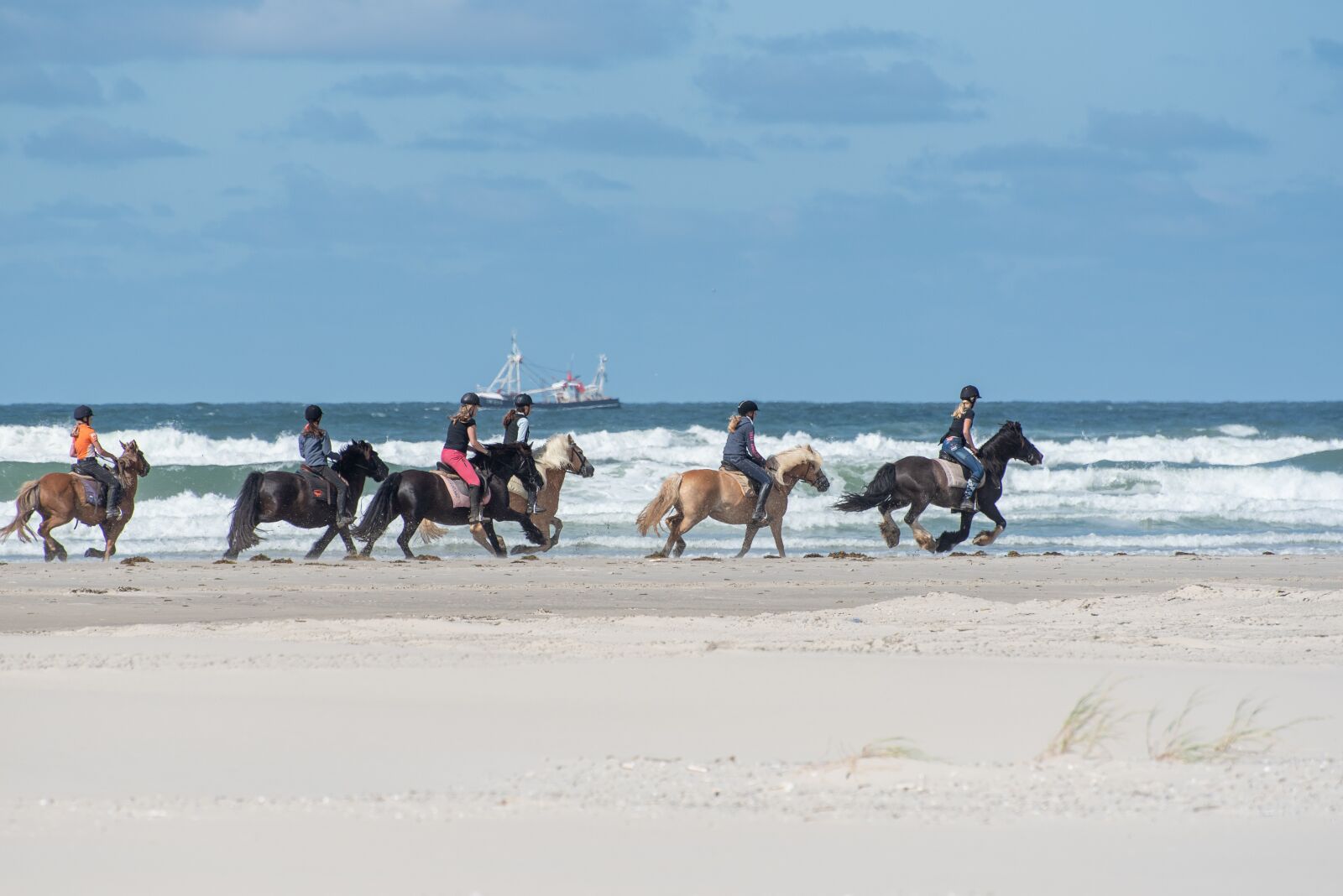 Nikon D750 sample photo. Horses, beach, sand photography