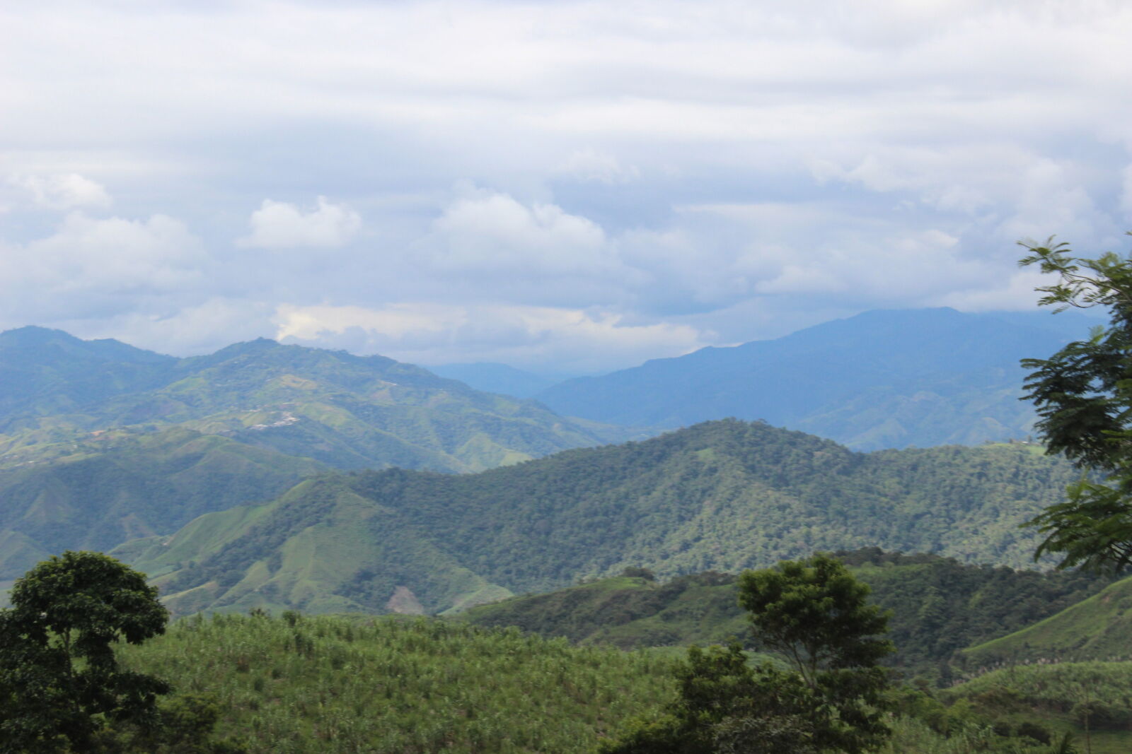 Canon EOS 600D (Rebel EOS T3i / EOS Kiss X5) sample photo. Clouds, ecuador, foliage, forest photography