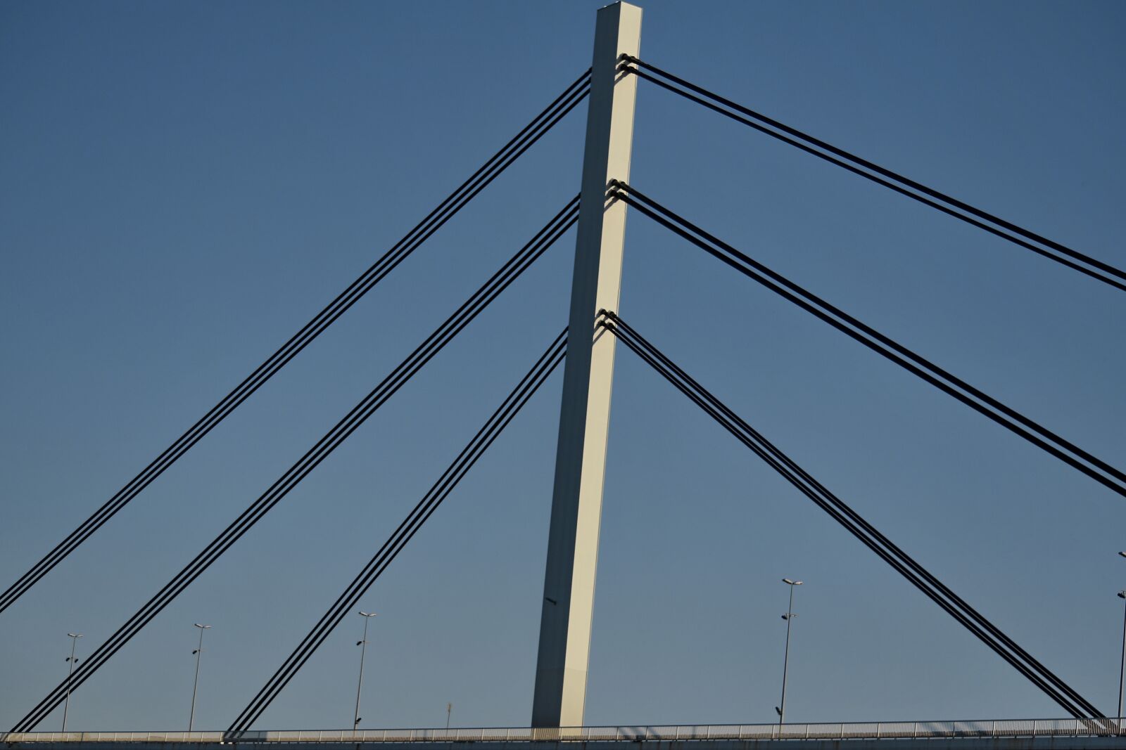 Nikon D5500 sample photo. Suspension bridge, wire, structure photography