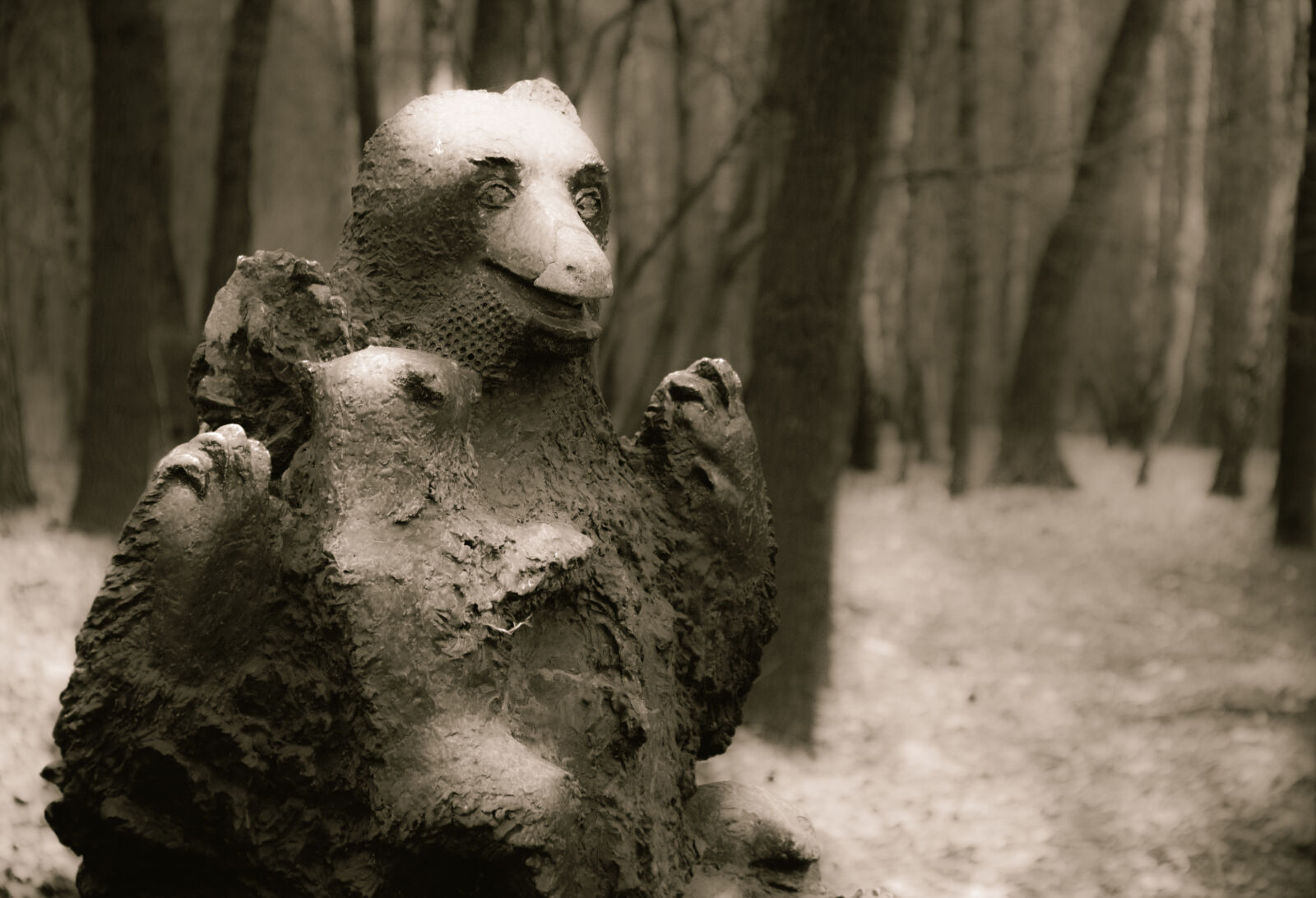Canon EOS 600D (Rebel EOS T3i / EOS Kiss X5) sample photo. Bear, creepy, forest, nature photography