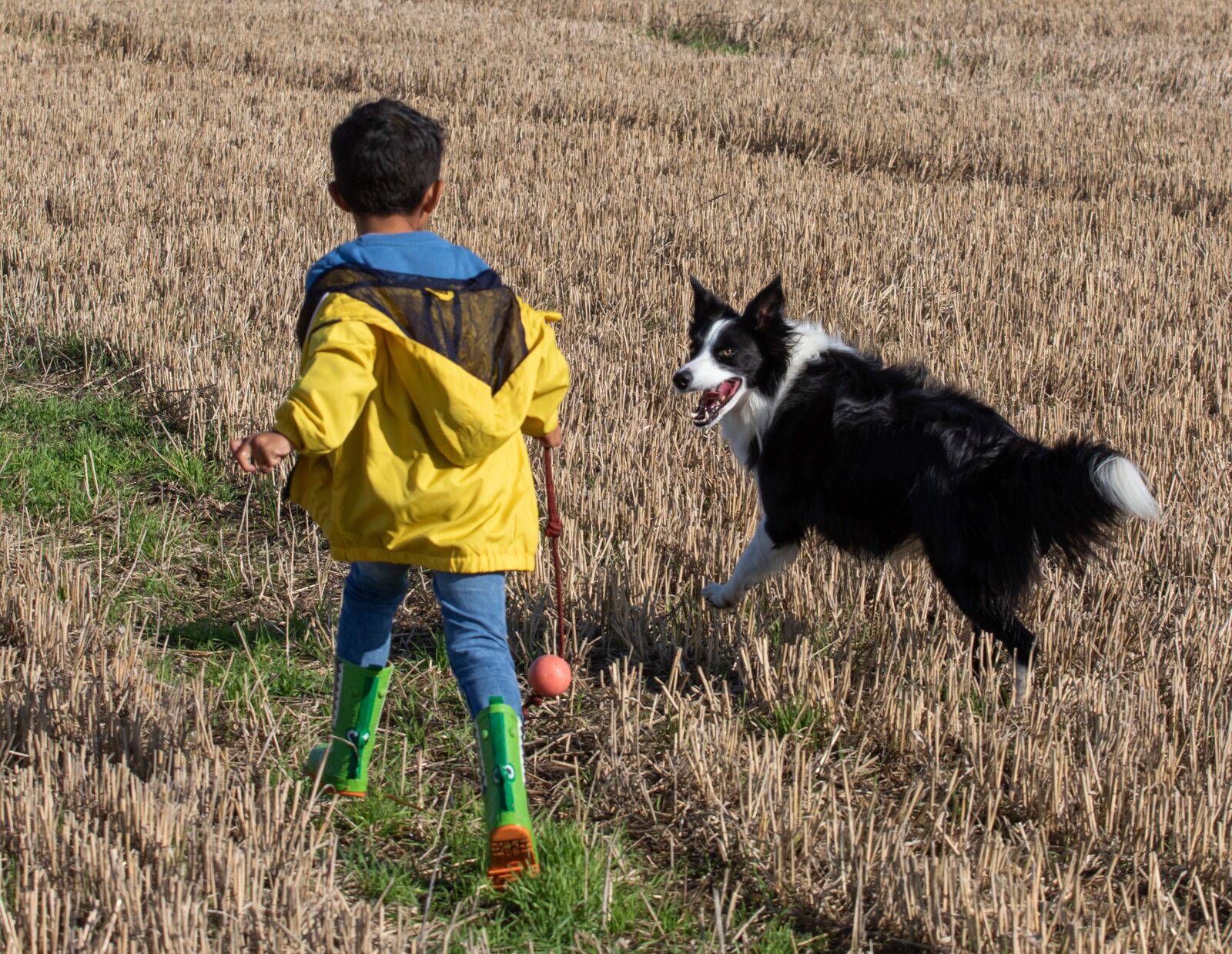 Canon EOS 7D Mark II + Canon EF 70-200mm F4L USM sample photo. Boy and dog in photography