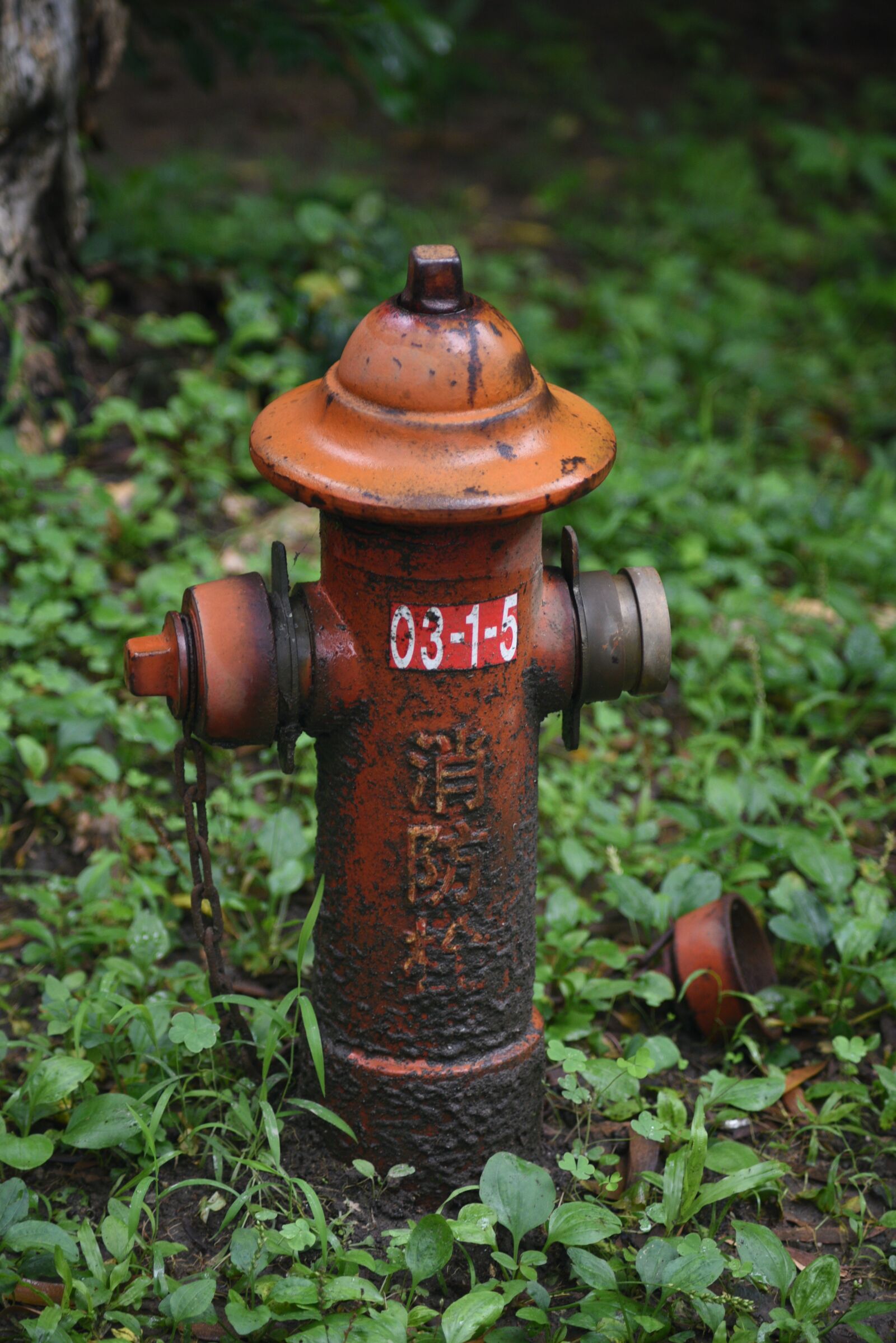 Nikon D750 sample photo. Fire, police photography