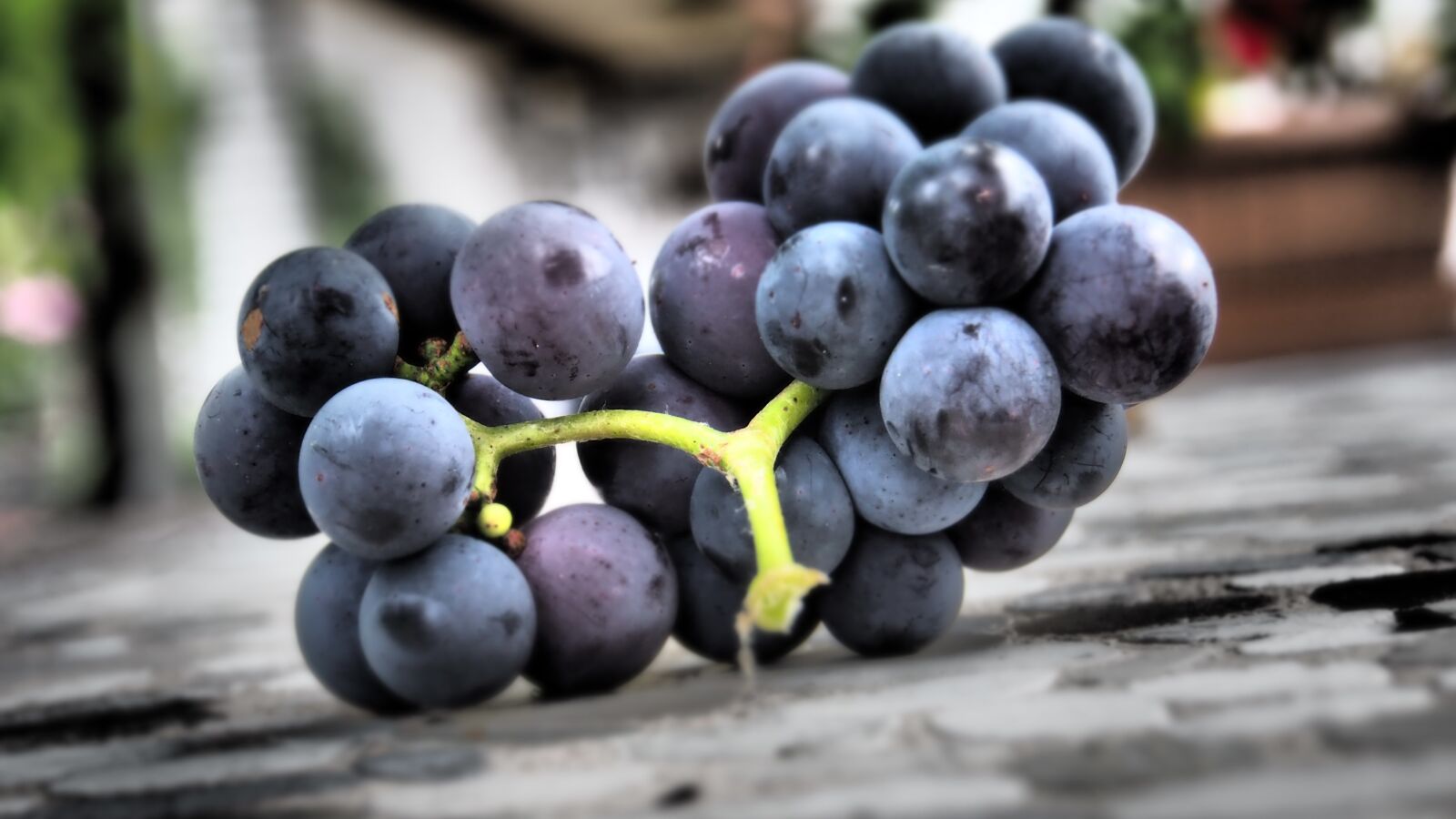 Olympus OM-D E-M10 sample photo. Grapes, fruits, healthy photography