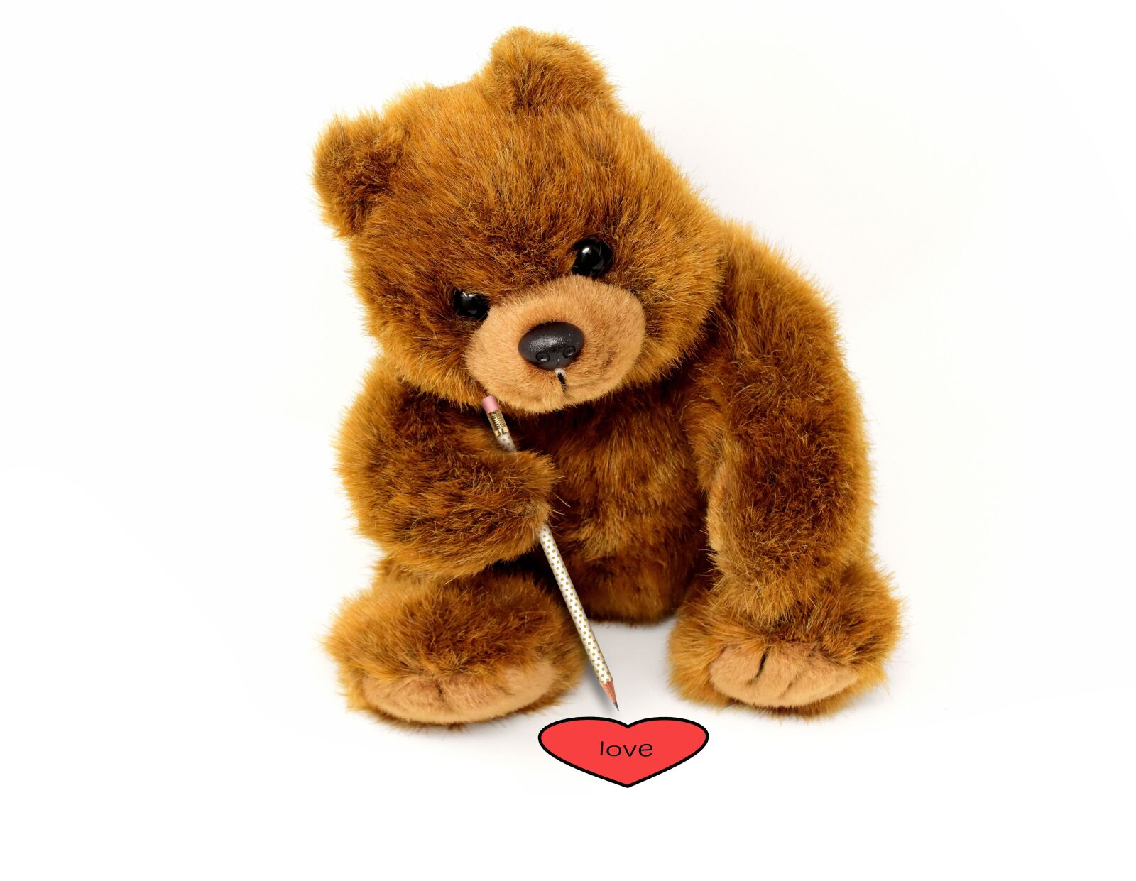 Nikon D7200 sample photo. Teddy bear, stuffed animal photography