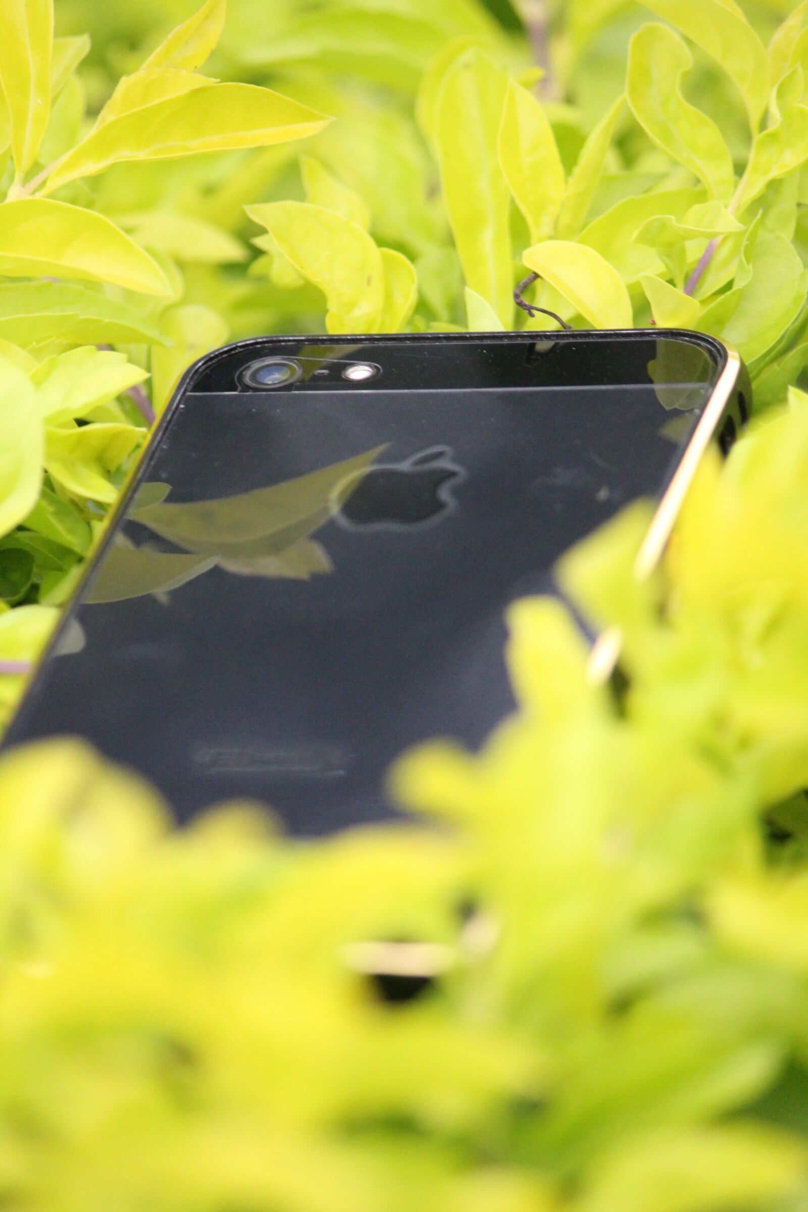 Canon EOS 1200D (EOS Rebel T5 / EOS Kiss X70 / EOS Hi) sample photo. Iphone, apple, laptop photography
