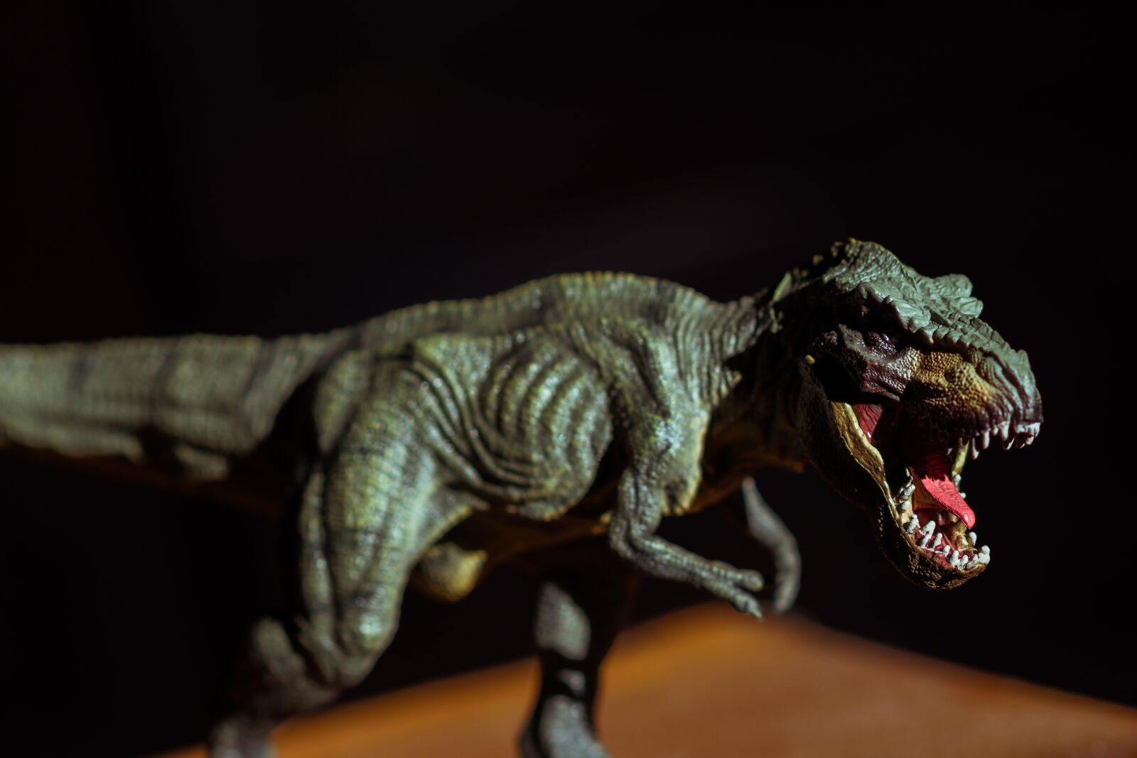 Nikon D5200 sample photo. Toy, animal, cute photography