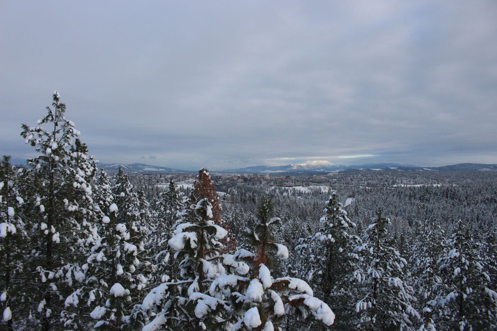 Canon EOS 700D (EOS Rebel T5i / EOS Kiss X7i) sample photo. Washington, spokane, snow photography