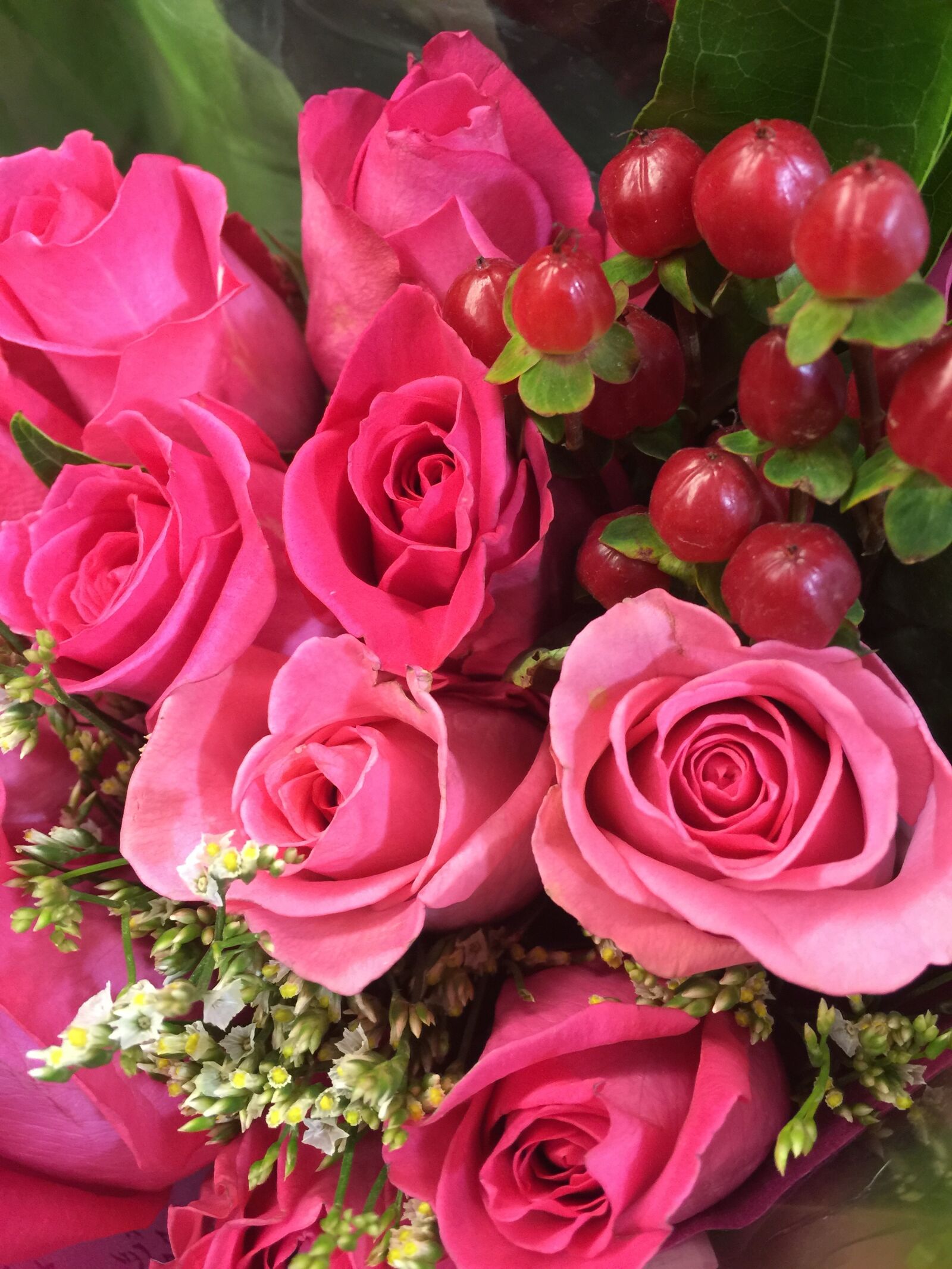 iPhone 6 Plus back camera 4.15mm f/2.2 sample photo. Flowers, roses photography