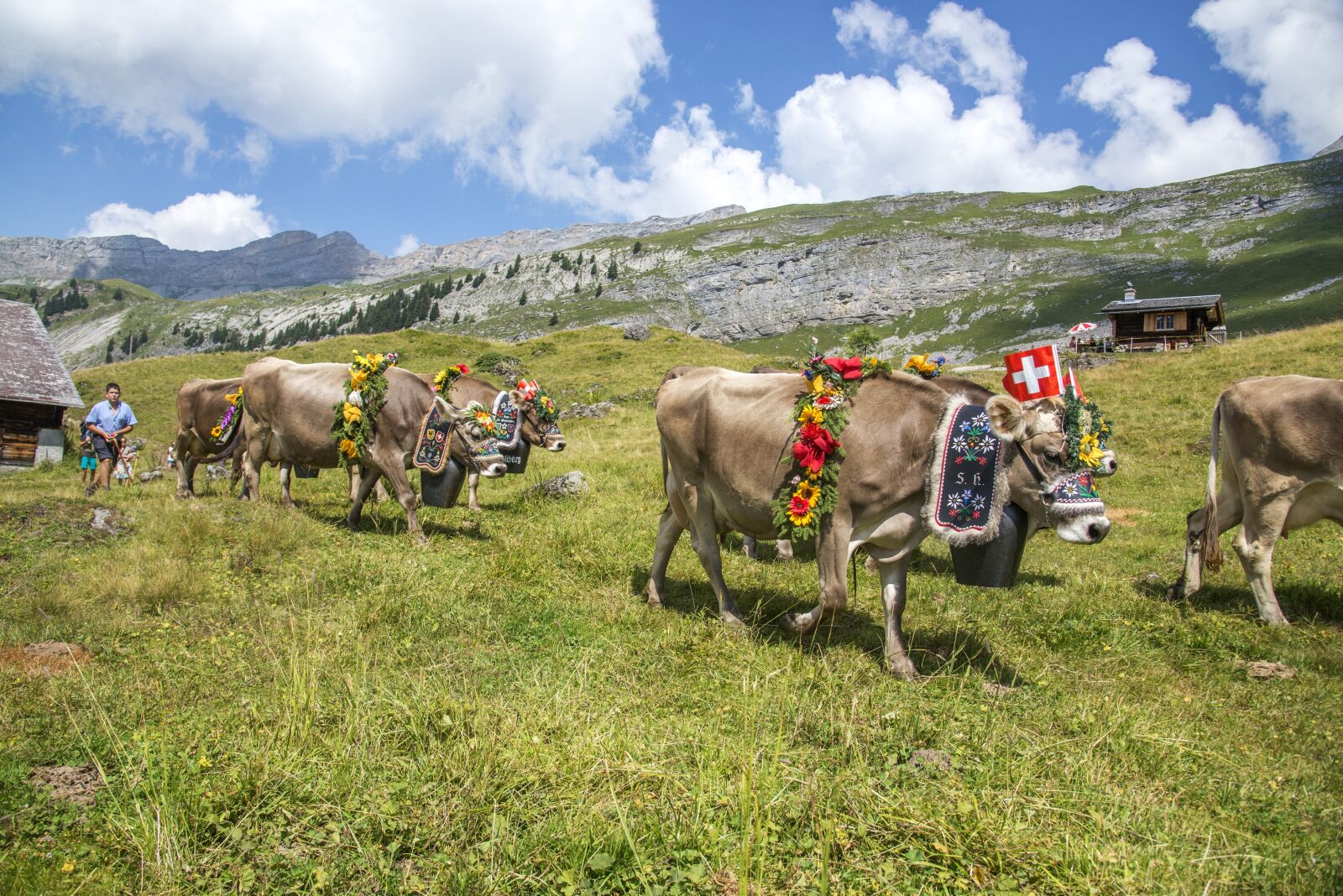 Nikon D600 sample photo. Cow, switzerland, tradition photography