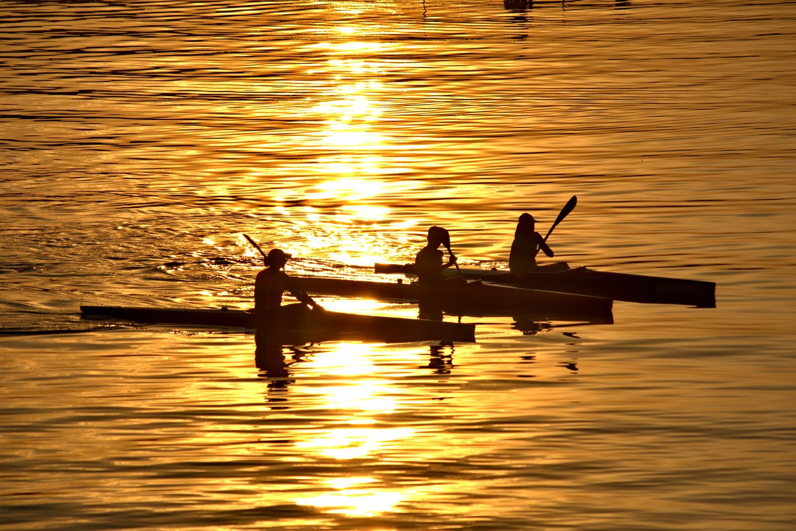 Nikon D5500 sample photo. Canoe, enjoyment, golden glow photography