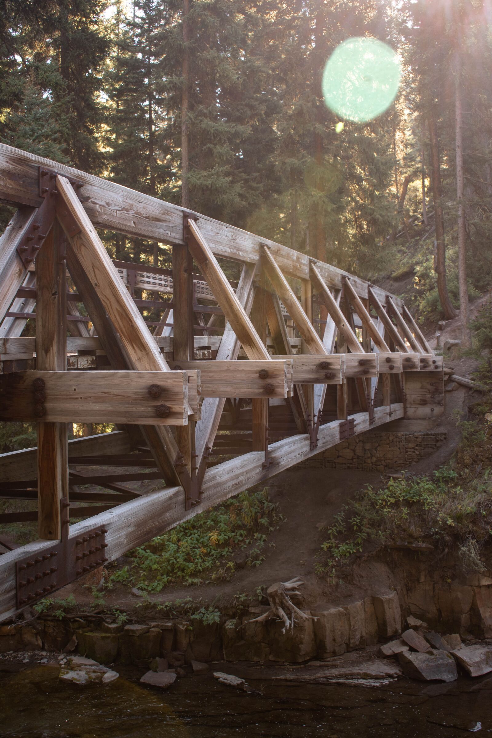 Nikon D5600 sample photo. Bridge, path, forest photography