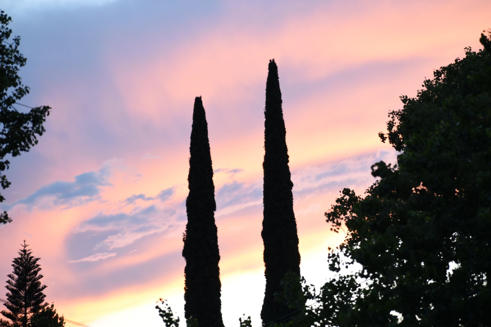 Nikon D3500 sample photo. Sunset, nature, landscape photography