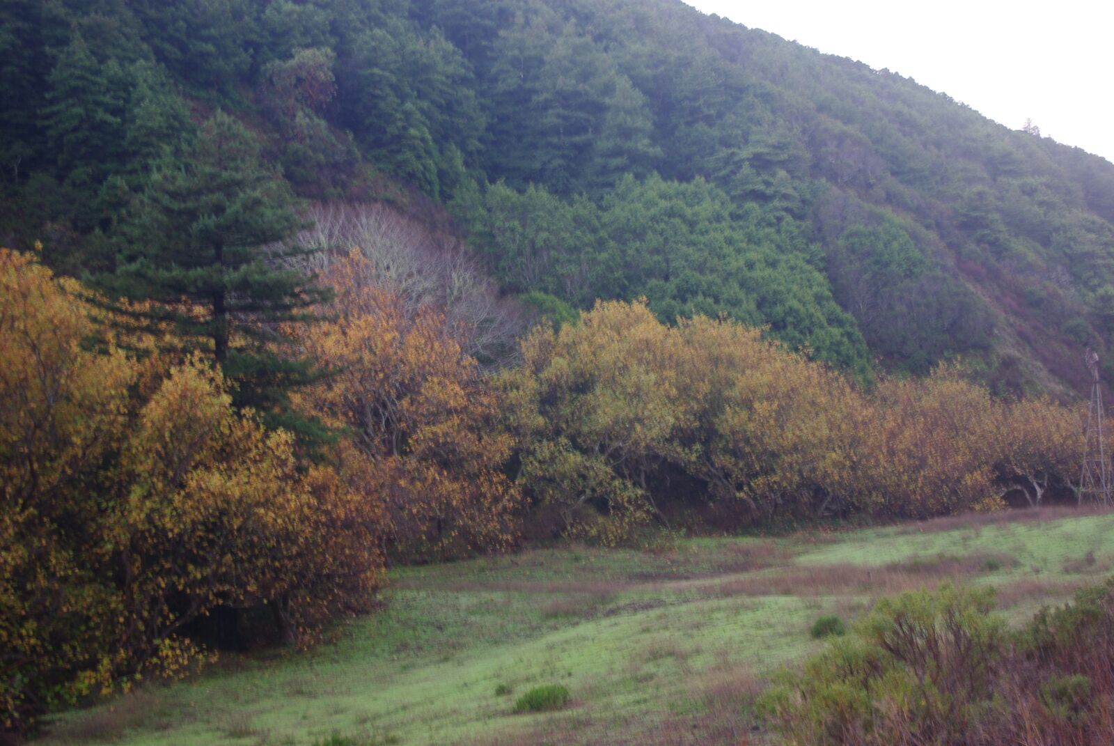 Pentax K200D sample photo. Nature, side hill, outdoors photography