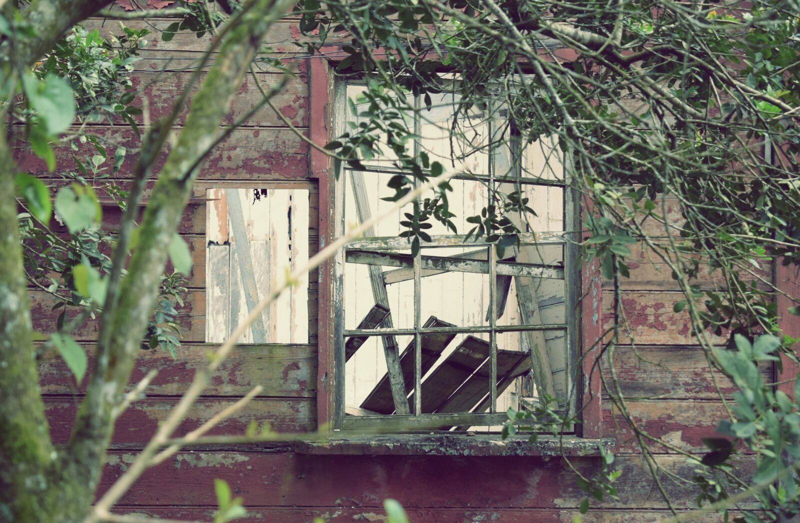 Nikon D5300 sample photo. Window, destroyed, broken photography