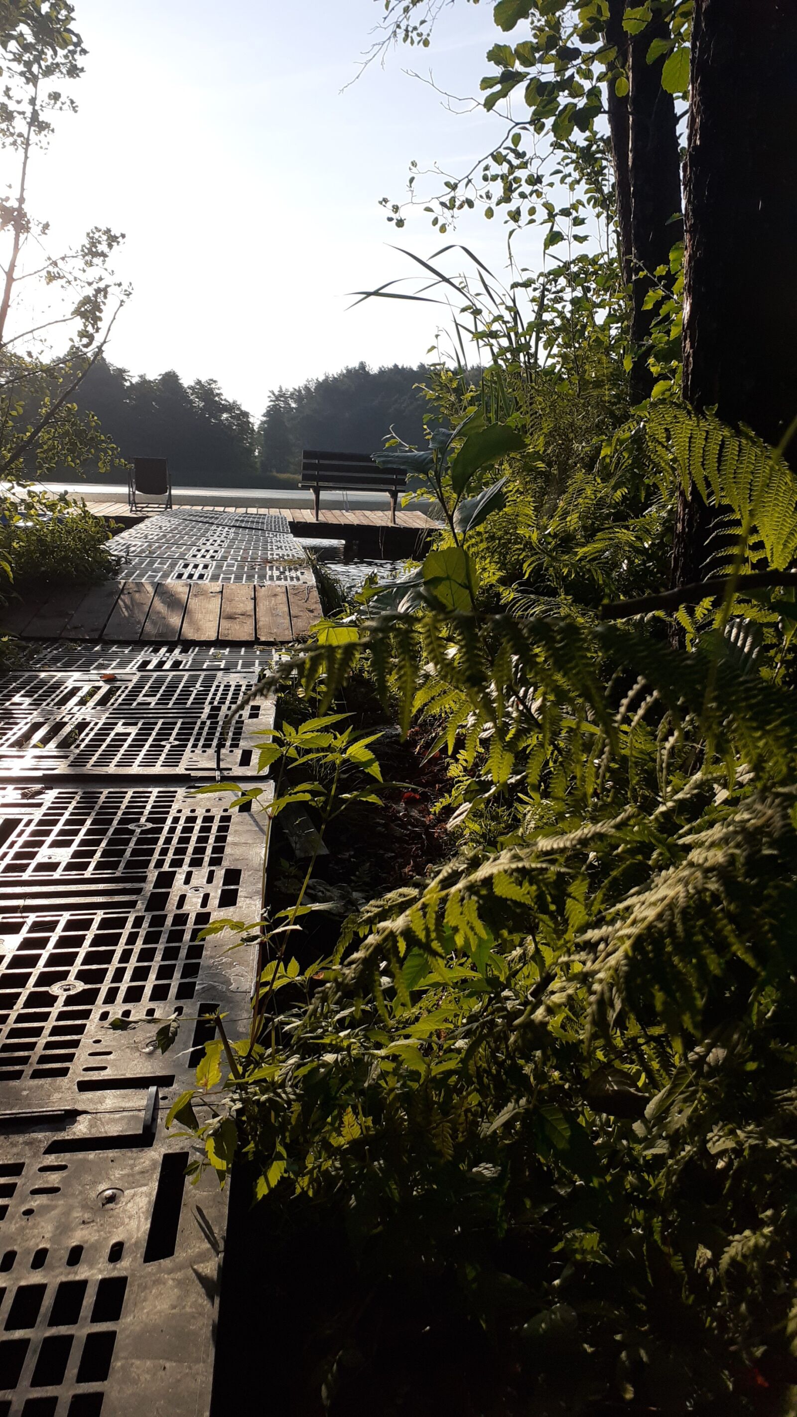 Samsung SM-A202F sample photo. The path, plants, water photography