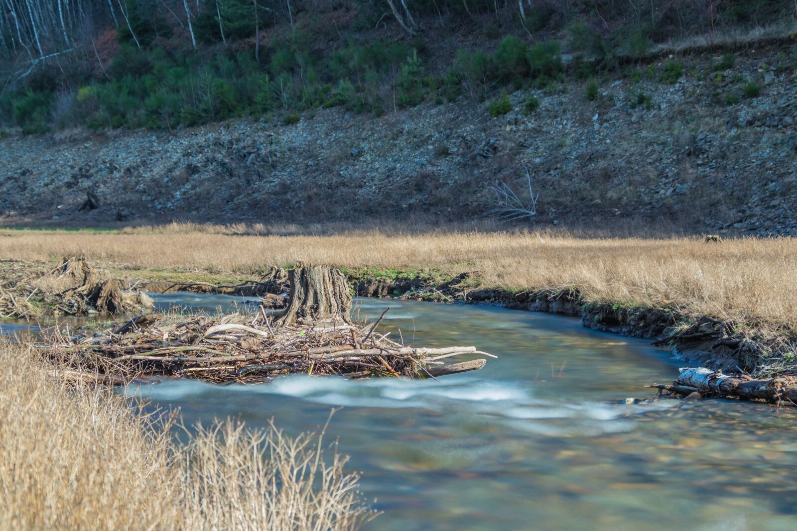 Canon EOS 80D sample photo. River, creek, water photography