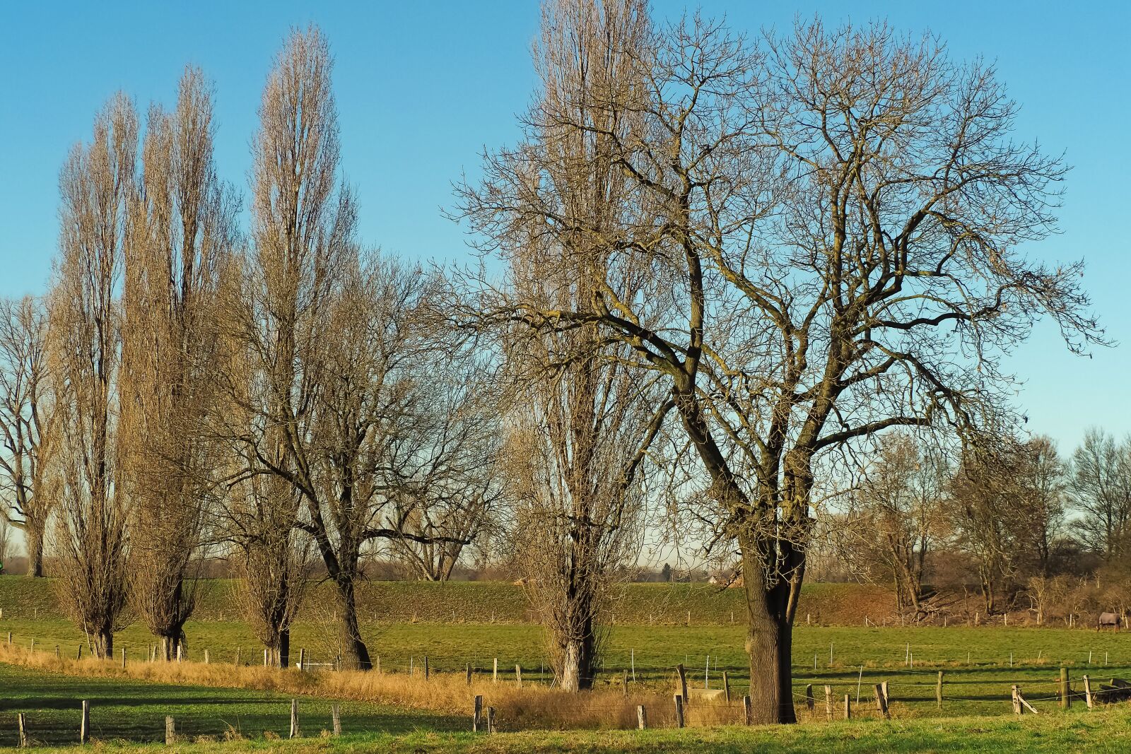 Olympus OM-D E-M10 sample photo. Landscape, nature, mood photography