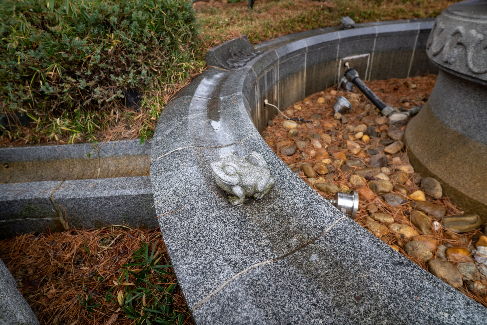 Nikon Z8 sample photo
