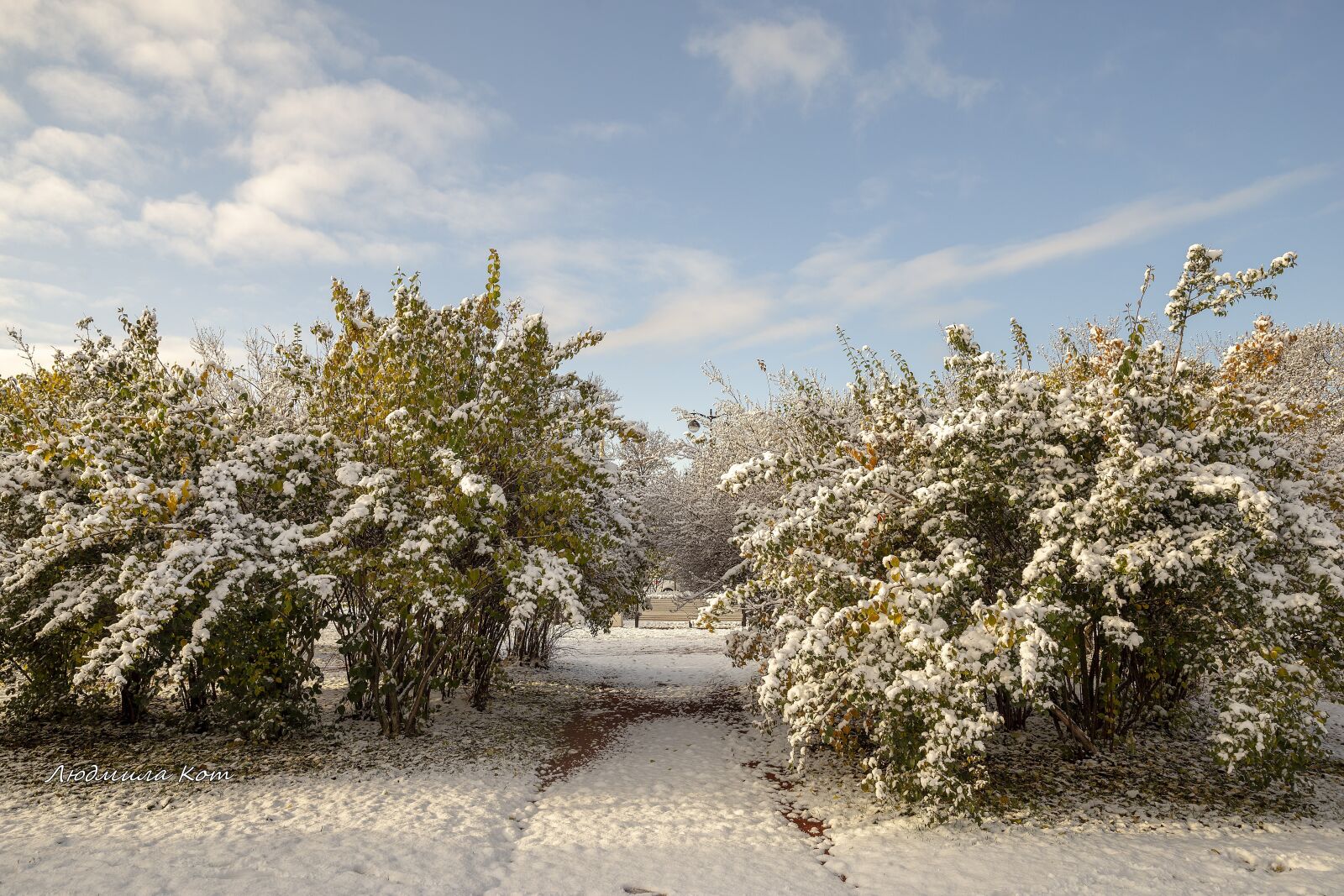 Canon EF 24-70mm F2.8L II USM sample photo. The first snow, snow photography