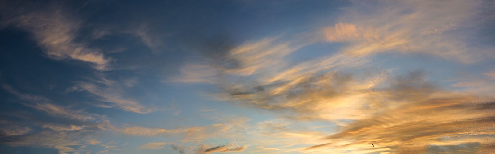 Panasonic Leica DG Summilux 25mm F1.4 II ASPH sample photo. Sunrise, sky, panorama photography