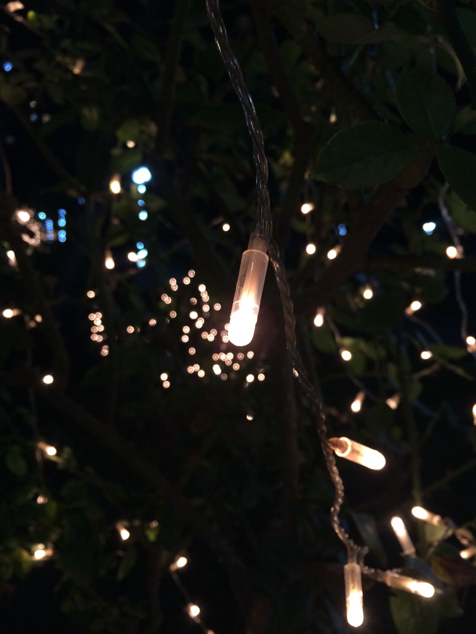 Apple iPhone 5s sample photo. Light, night, year photography