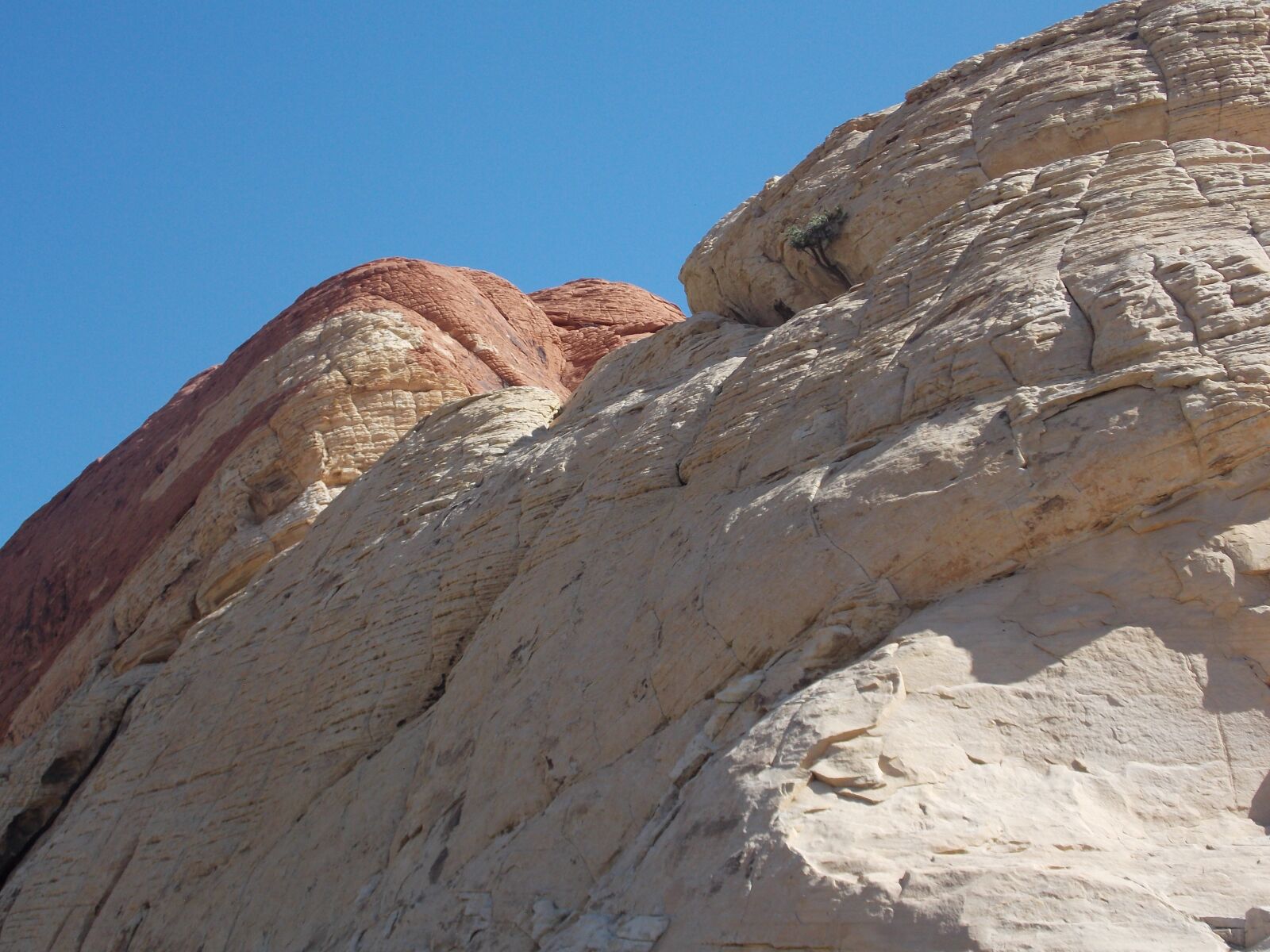 Nikon Coolpix L810 sample photo. Red rock, nevada, paisaje photography