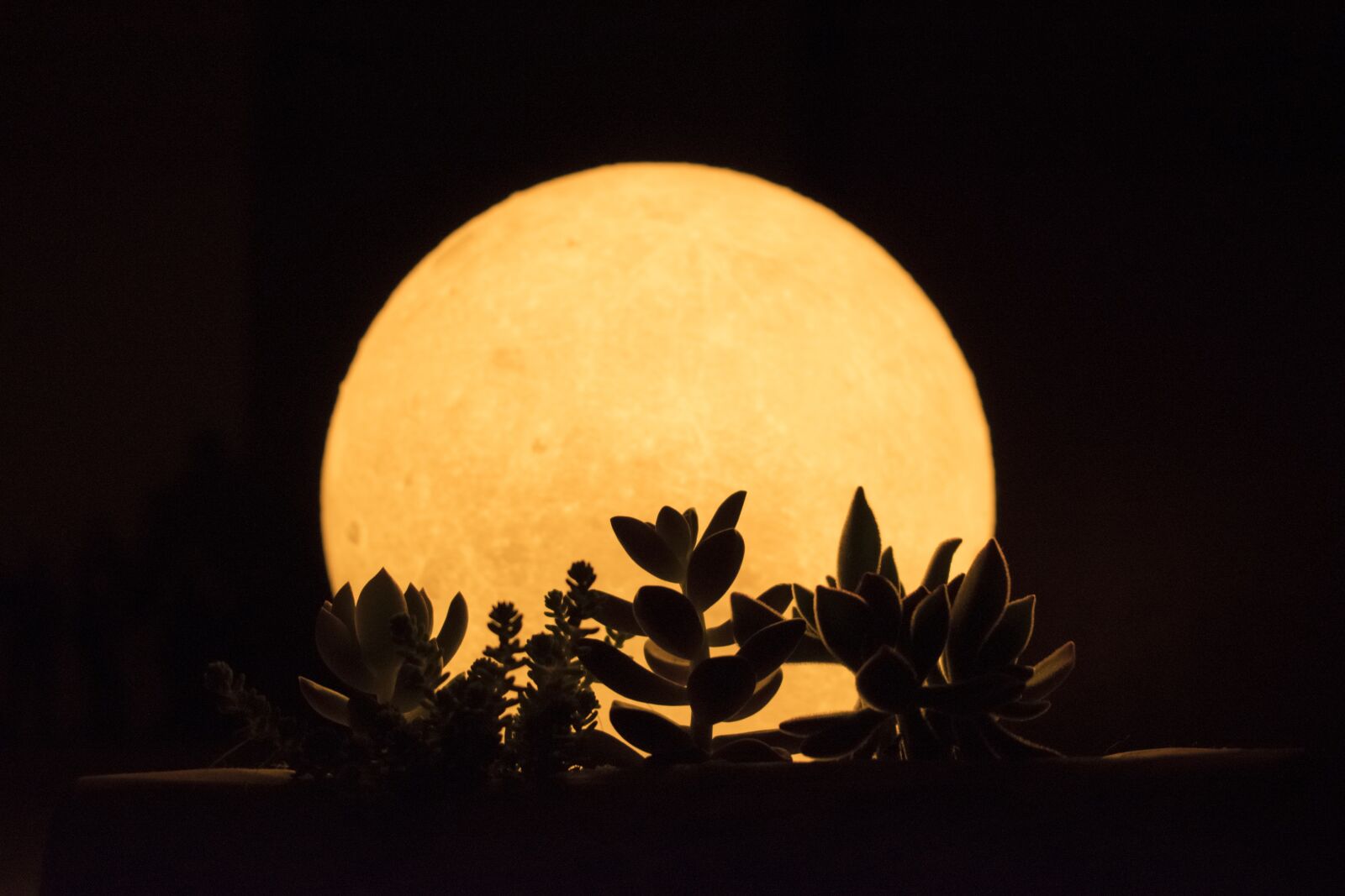 Nikon D5300 sample photo. Moon, moom, nature photography