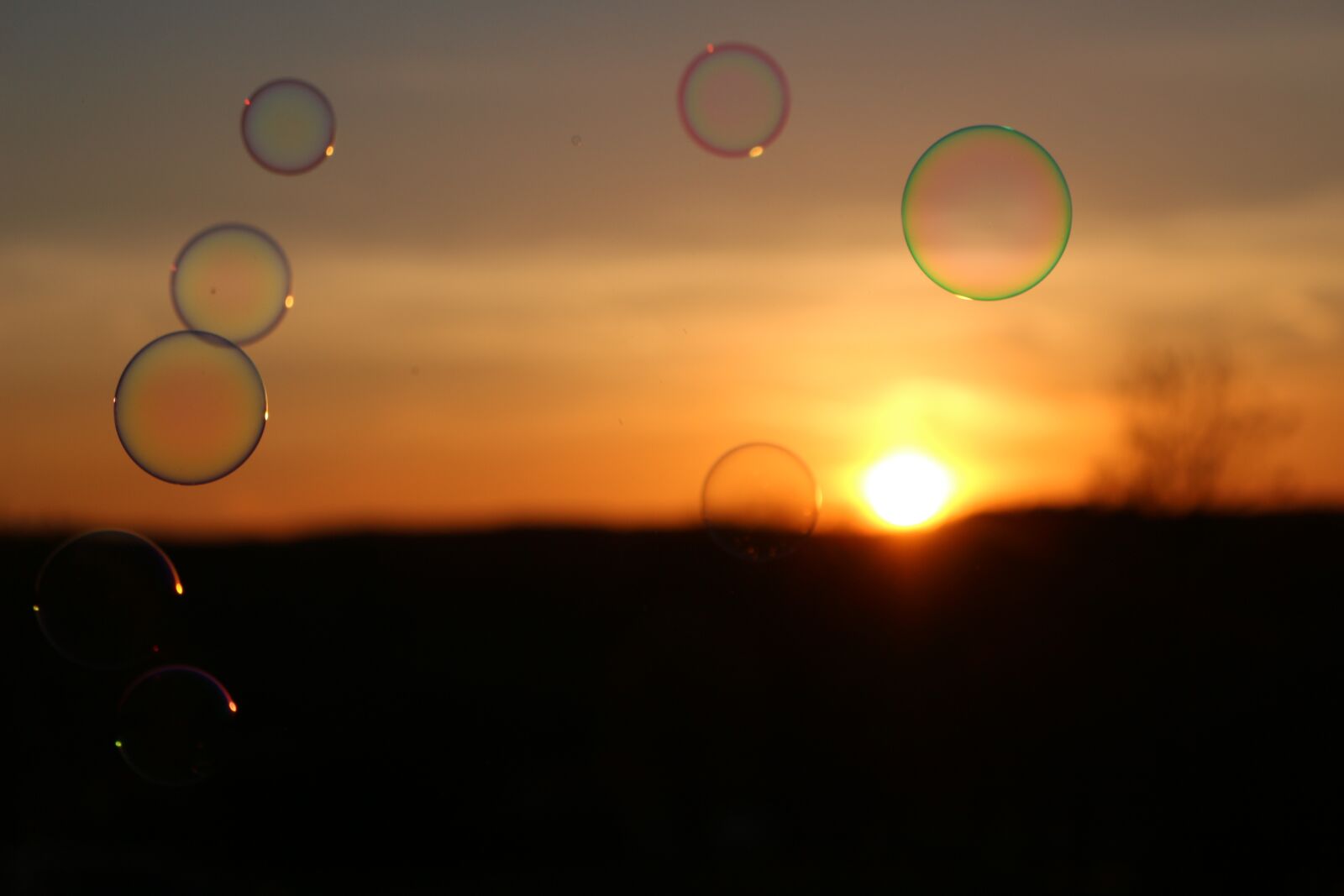 Canon EOS 100D (EOS Rebel SL1 / EOS Kiss X7) sample photo. Soap bubbles, sunset, evening photography