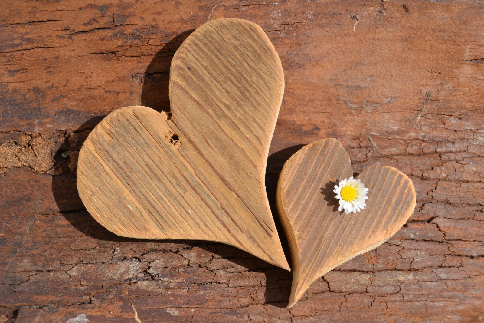 Nikon D3100 sample photo. Love, mother's day, heart photography
