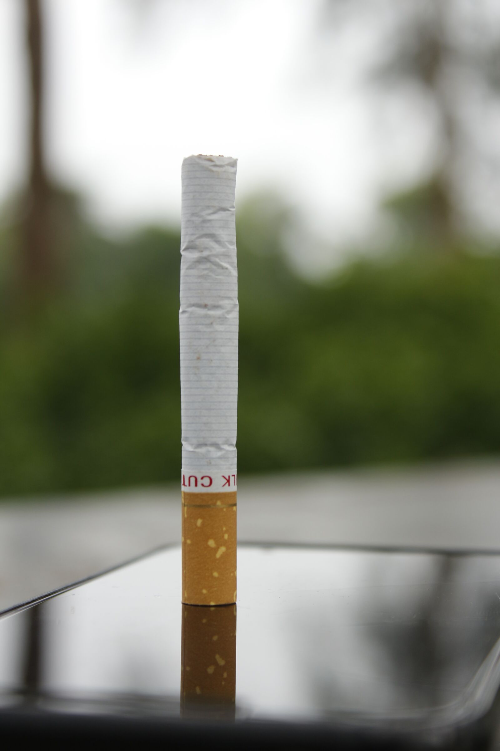 Canon EOS 700D (EOS Rebel T5i / EOS Kiss X7i) sample photo. Cigar, cigarate, smoking photography