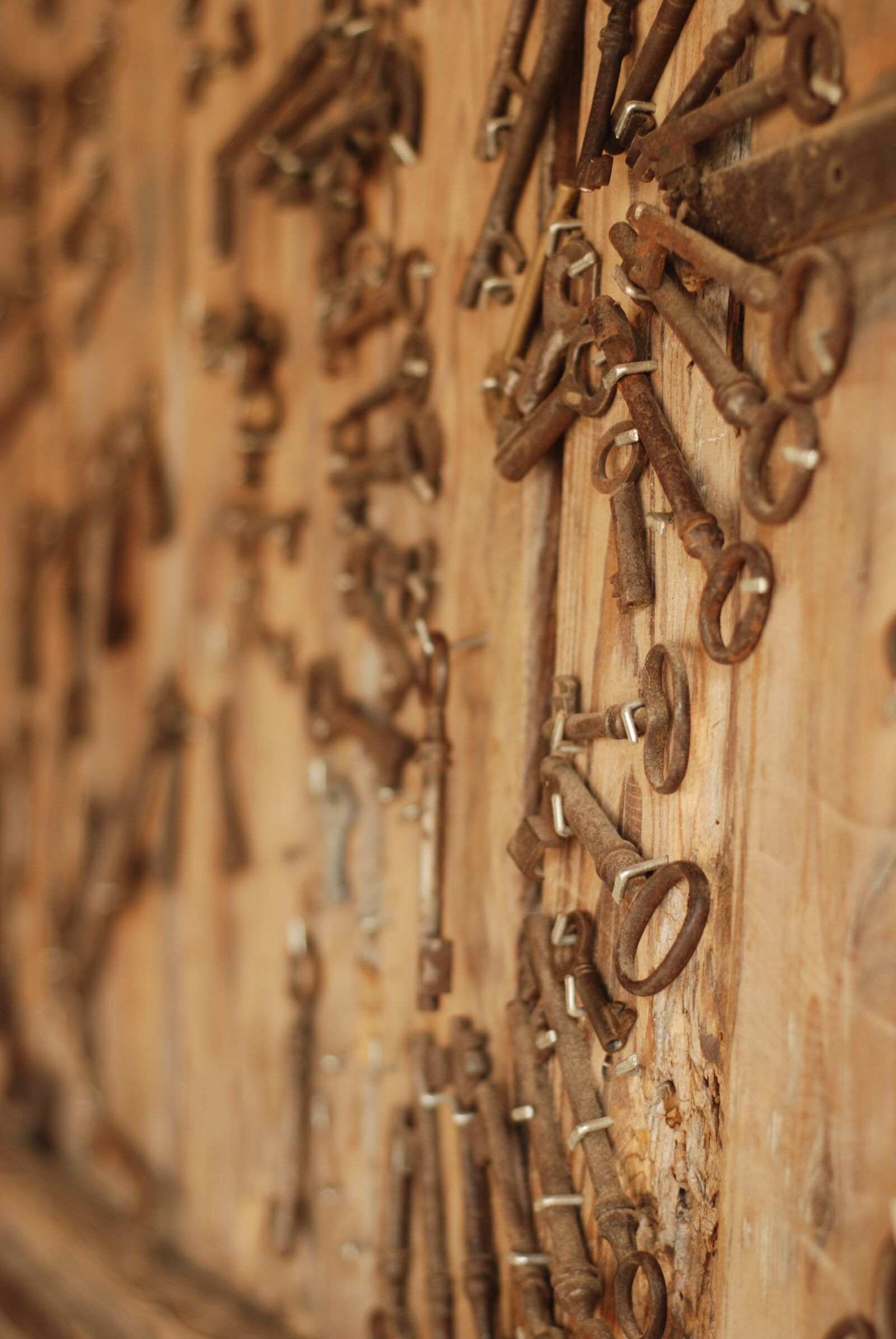 Nikon D80 sample photo. Folklore, open air museum photography