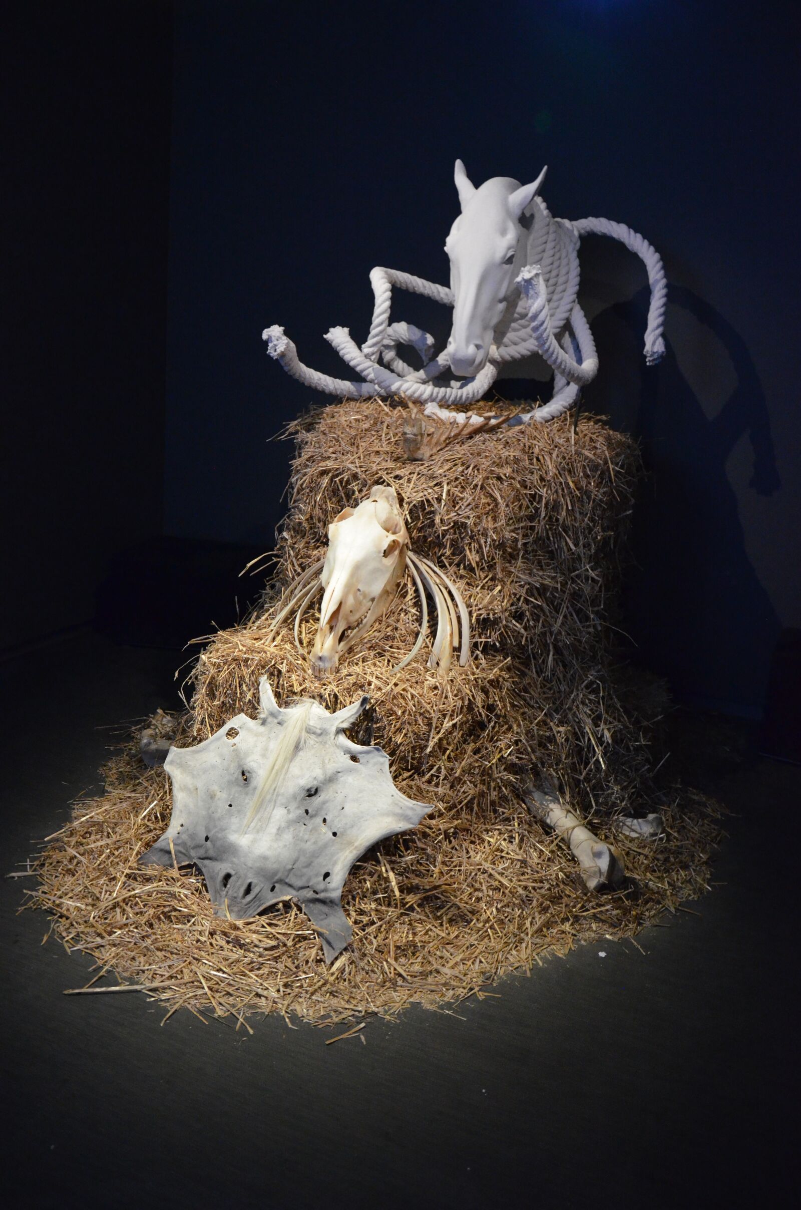 Nikon D5100 sample photo. Art, horse, sculpture photography