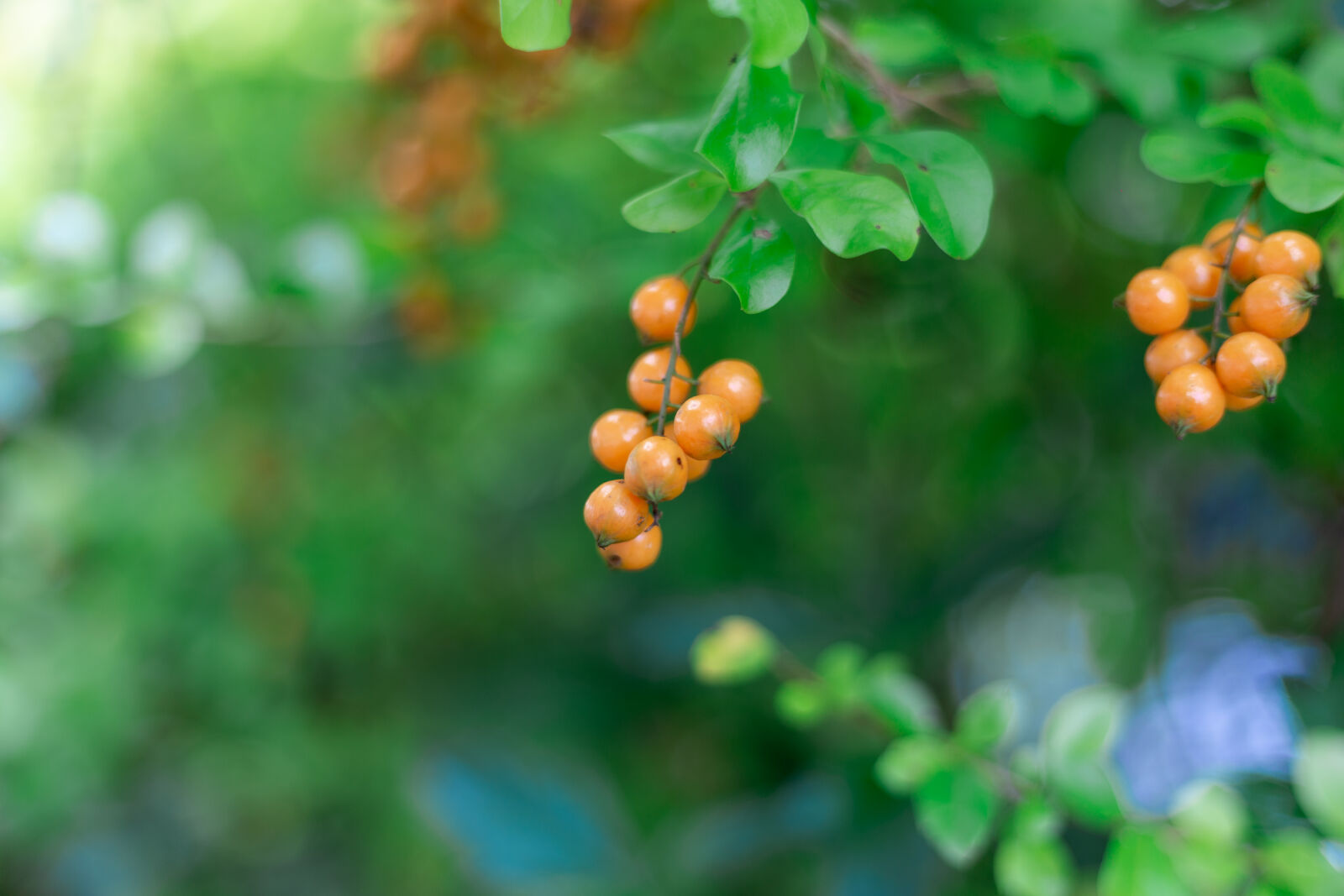 Canon EOS 6D sample photo