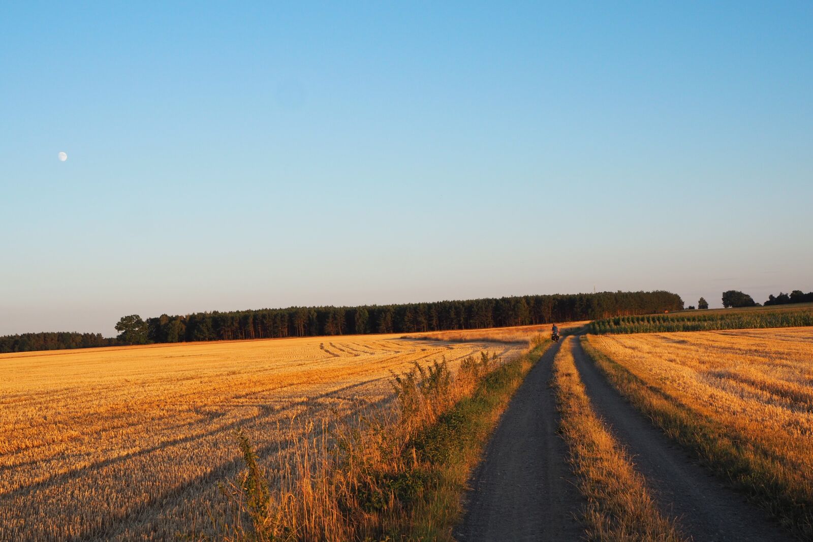 Olympus OM-D E-M10 II sample photo. Dirt road, corn, village photography