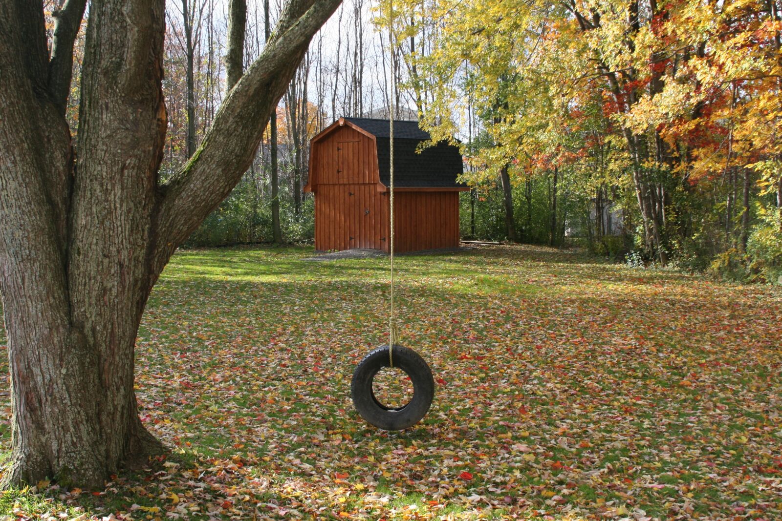 Canon EOS 30D sample photo. Barn, tire, swing photography