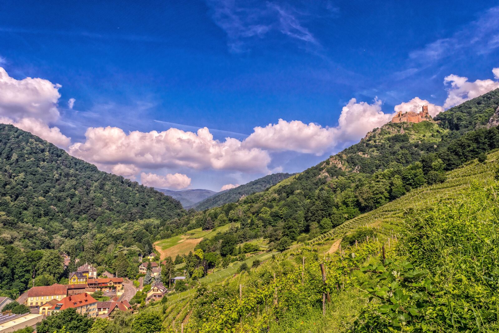 Nikon D3300 sample photo. Landscape, france, alsace photography