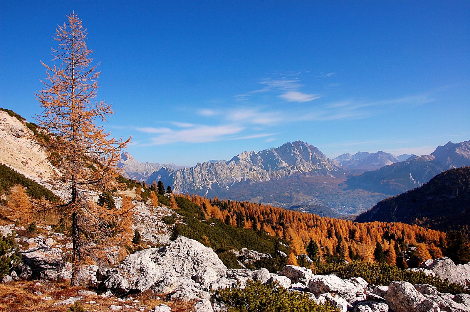 Nikon D40 sample photo. Dolomites, monte cristallo, forest photography