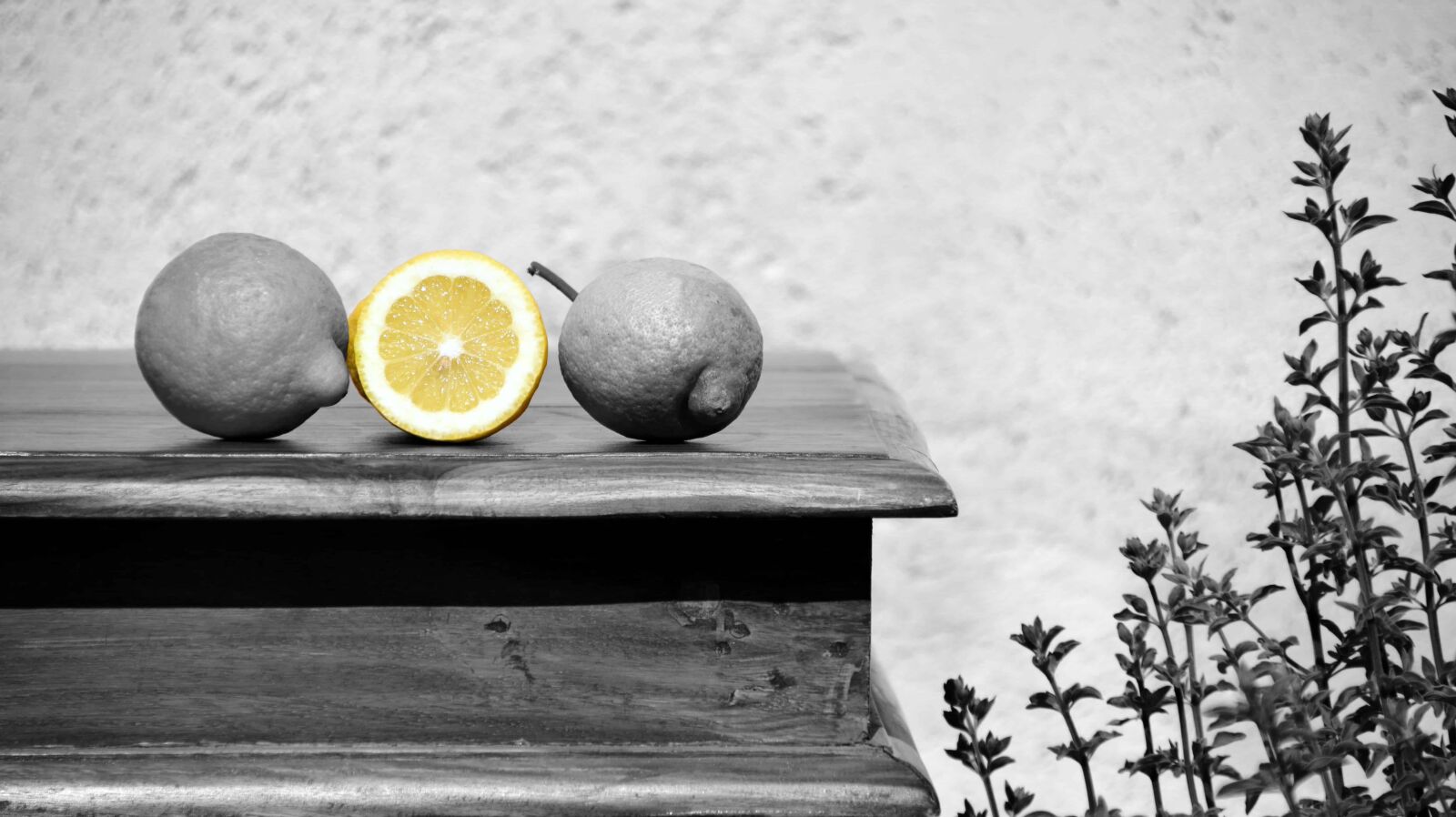 Nikon D3300 sample photo. Table, lemon, fruit, monochrome photography