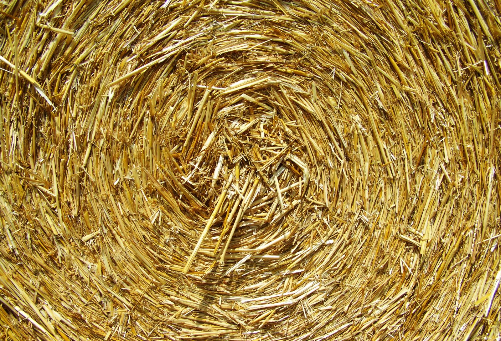 Kodak EASYSHARE ZD710 ZOOM DIGITAL CAMERA sample photo. Straw bale, compressed grain photography