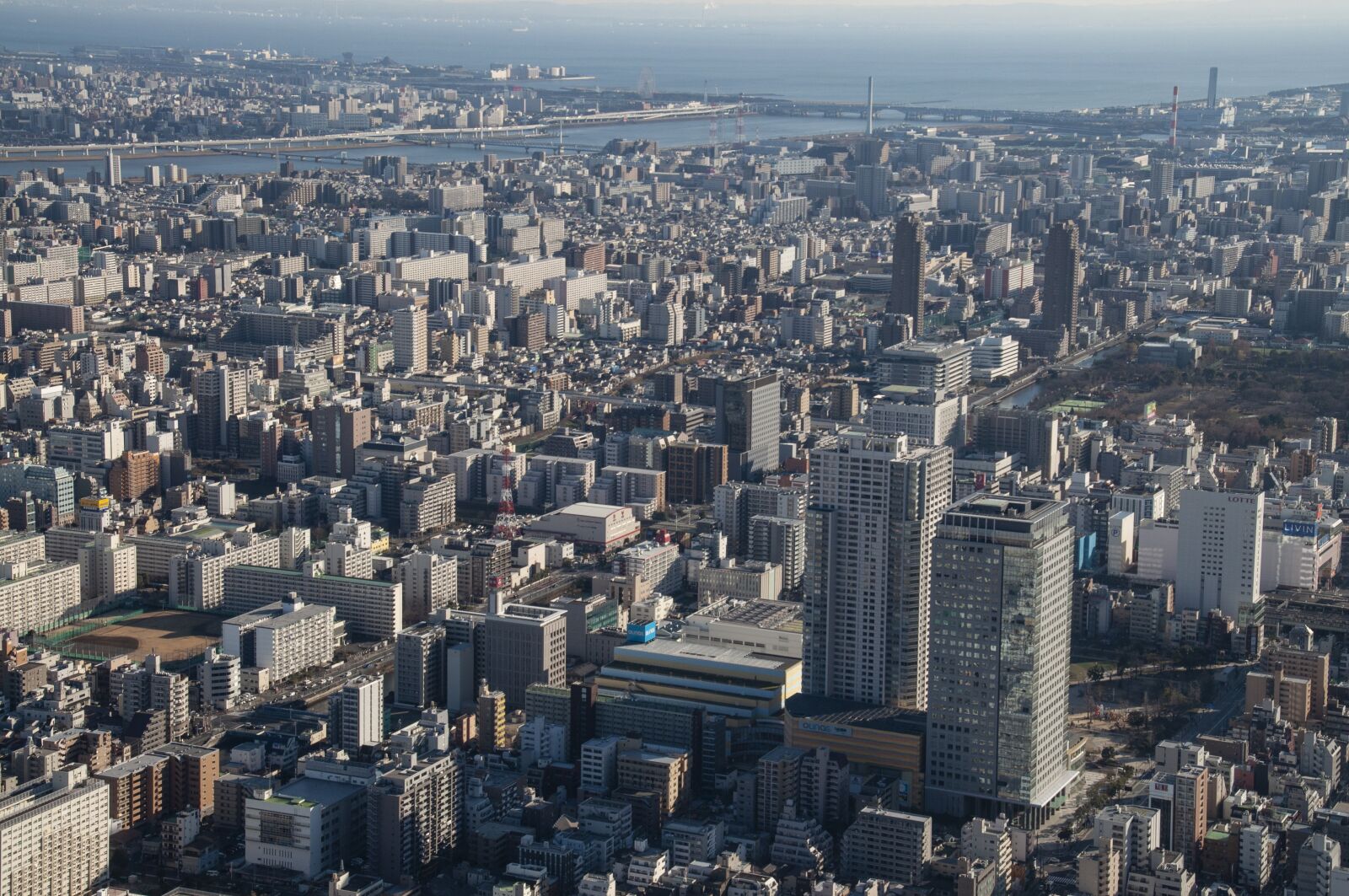 Nikon D5000 sample photo. Tokyo, japan, city photography